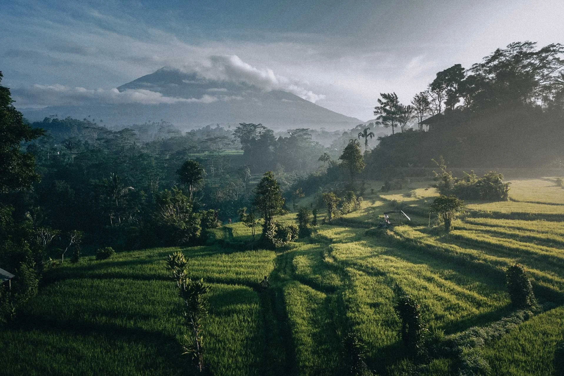 Bali rice fields and moody volcano