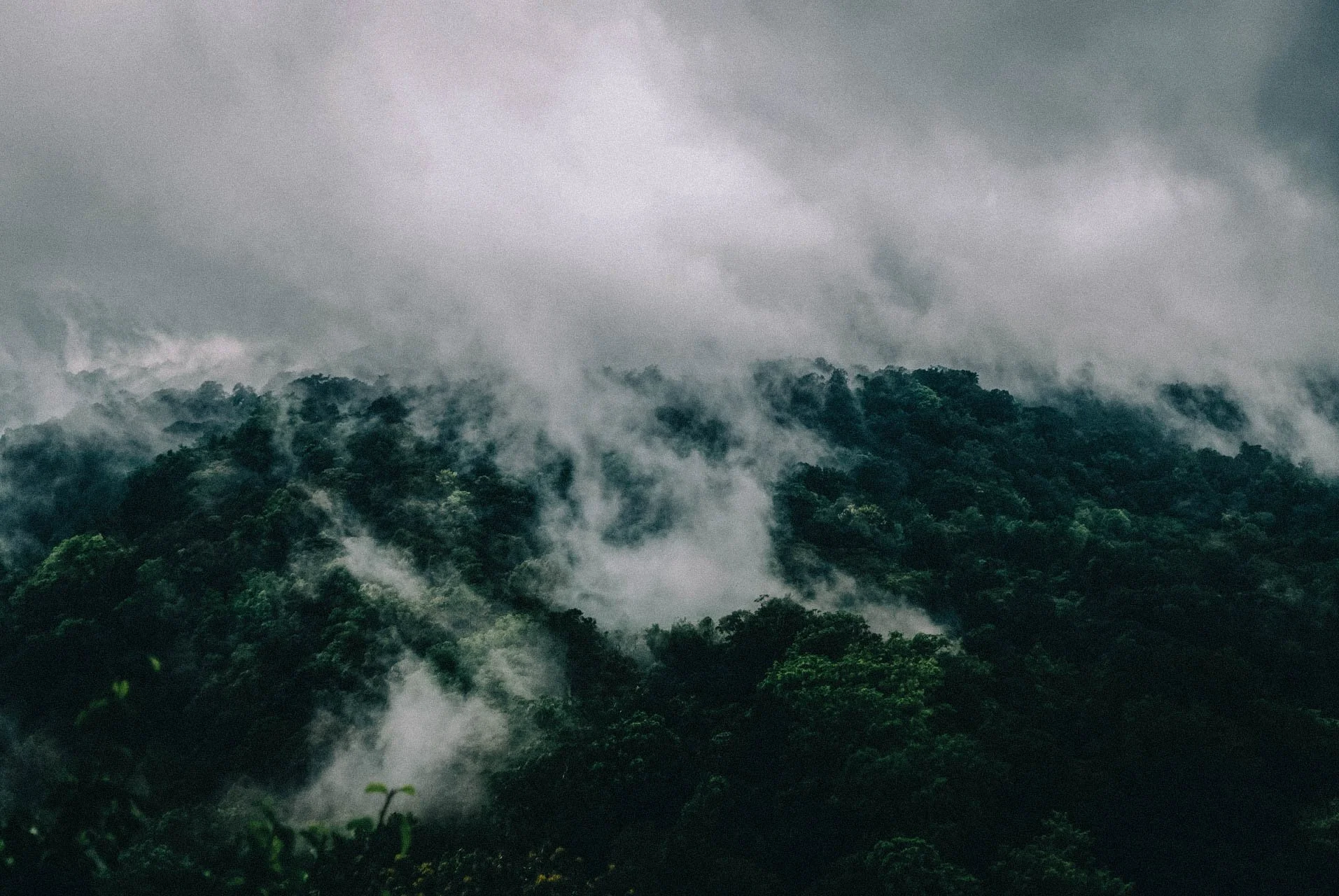 Clouds drifting through rainforest ridges, a cinematic view alive with texture and atmosphere.