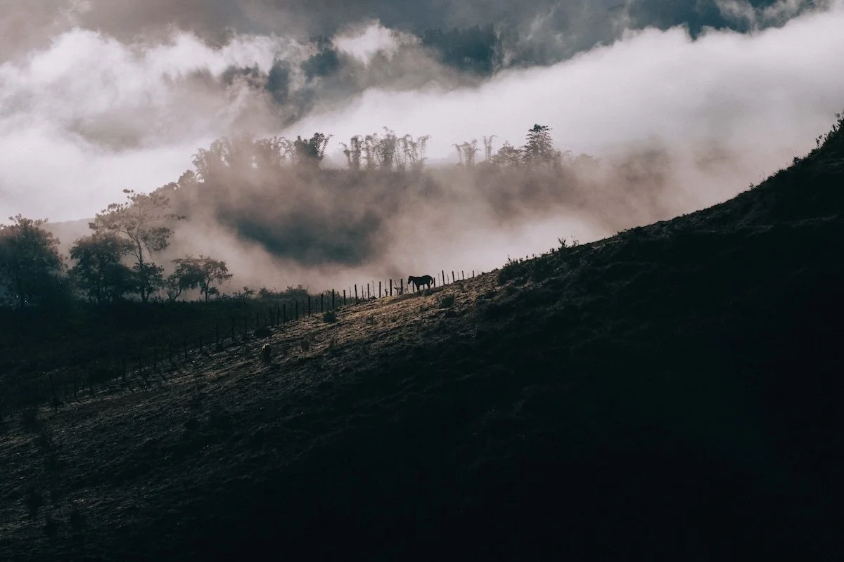 Mist rolling over mountain ridges at dawn, layered tones creating dramatic scenery