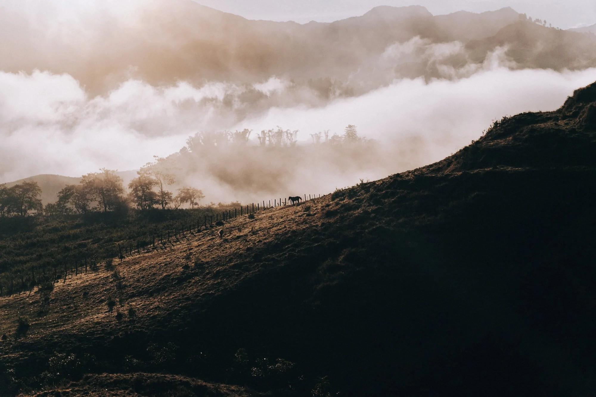 horse walking along a mountain path, framed against clouds and ridges in Bali-inspired tones.