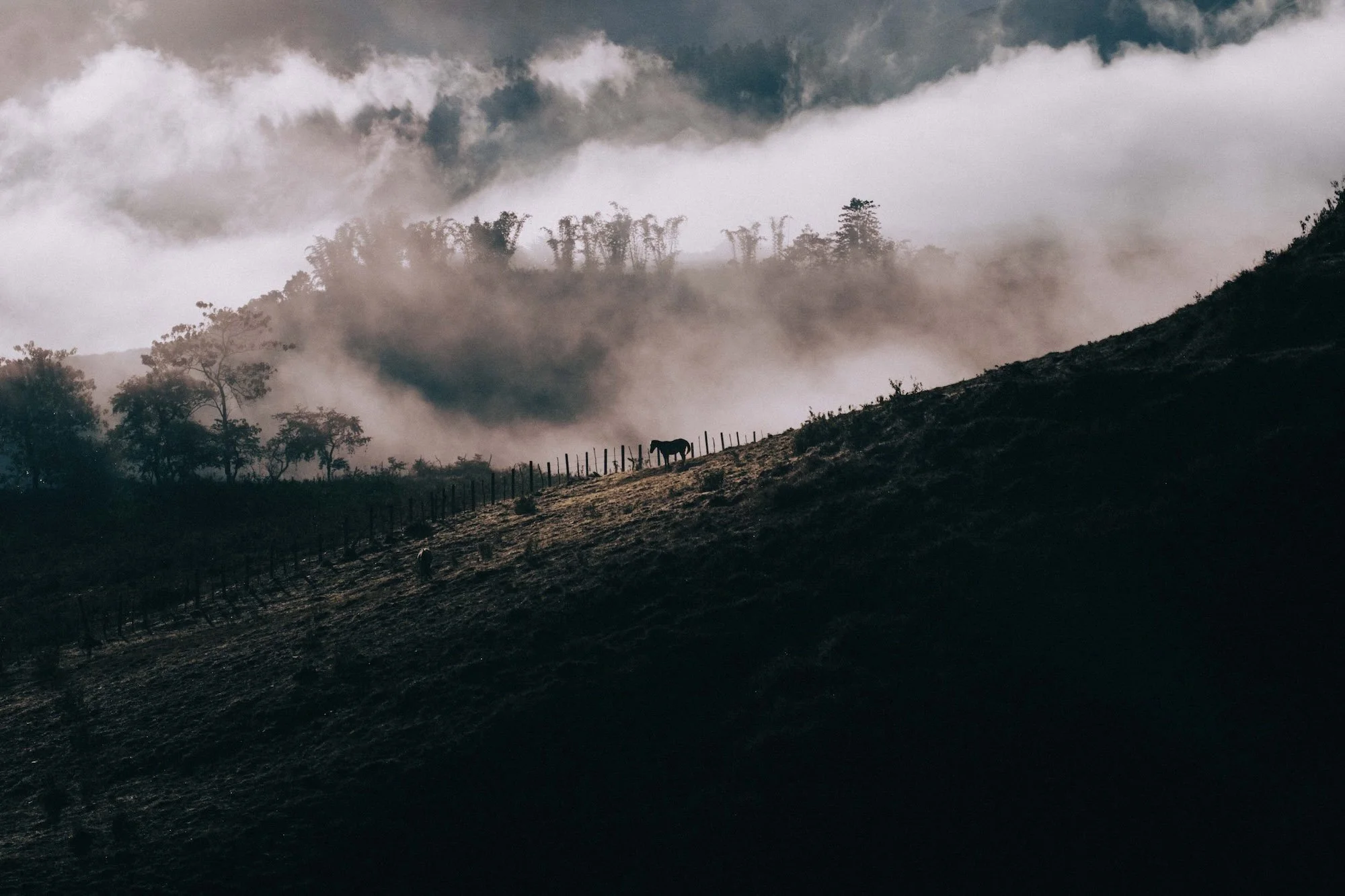 Dramatic landscape of rolling hills and drifting mist at golden hour, cinematic editorial image inspired by Jordan’s natural grandeur