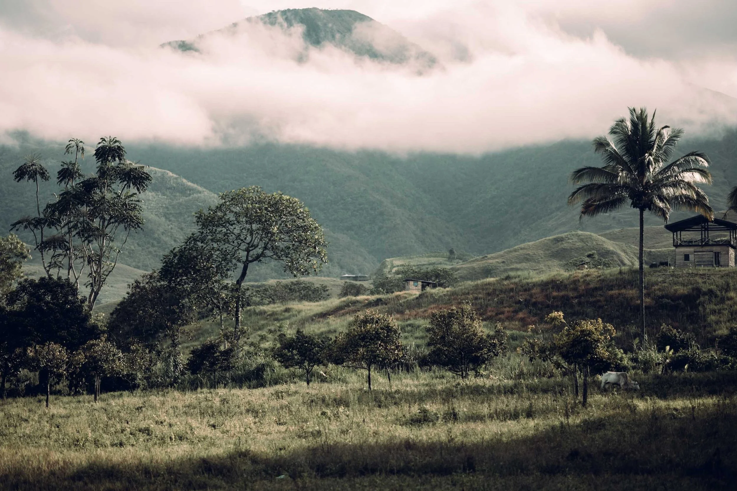 Rolling green hills fade into mist, cinematic backdrop for Bali couples photography sessions