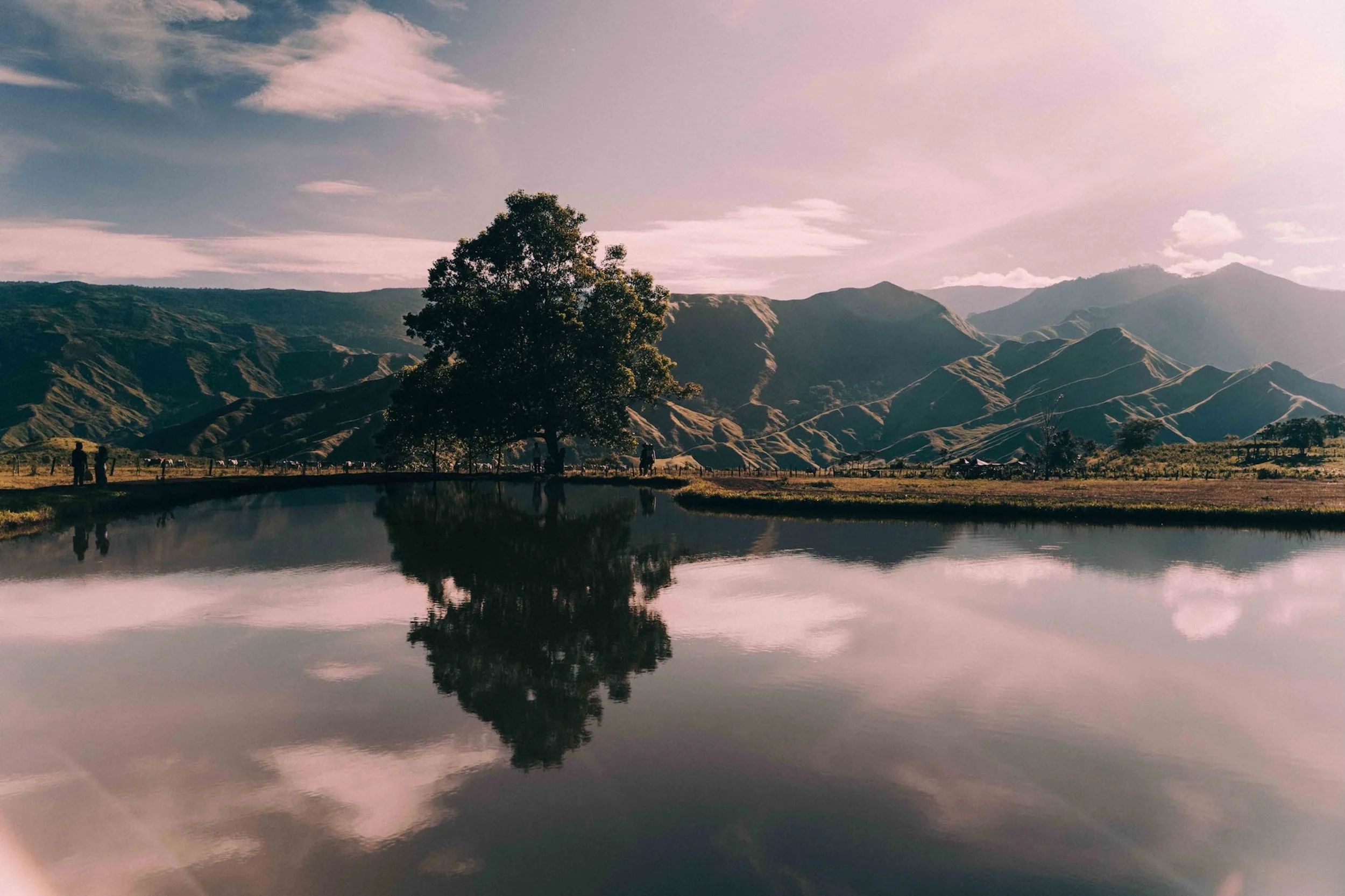 A lone tree reflects perfectly in still water, mountains layered behind it as sky and land mirror each other in quiet balance.