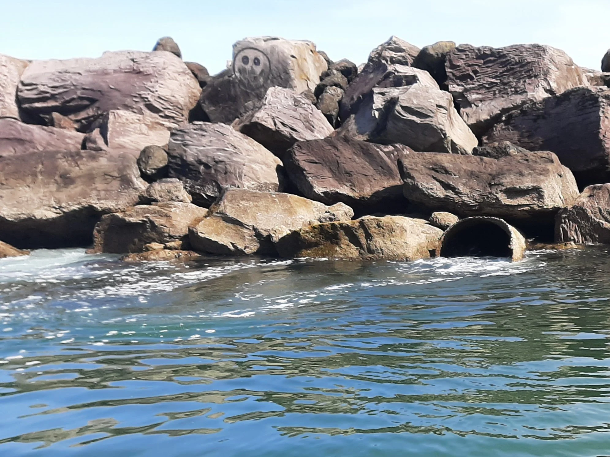 20220501_100912[19190] - Copy.jpg