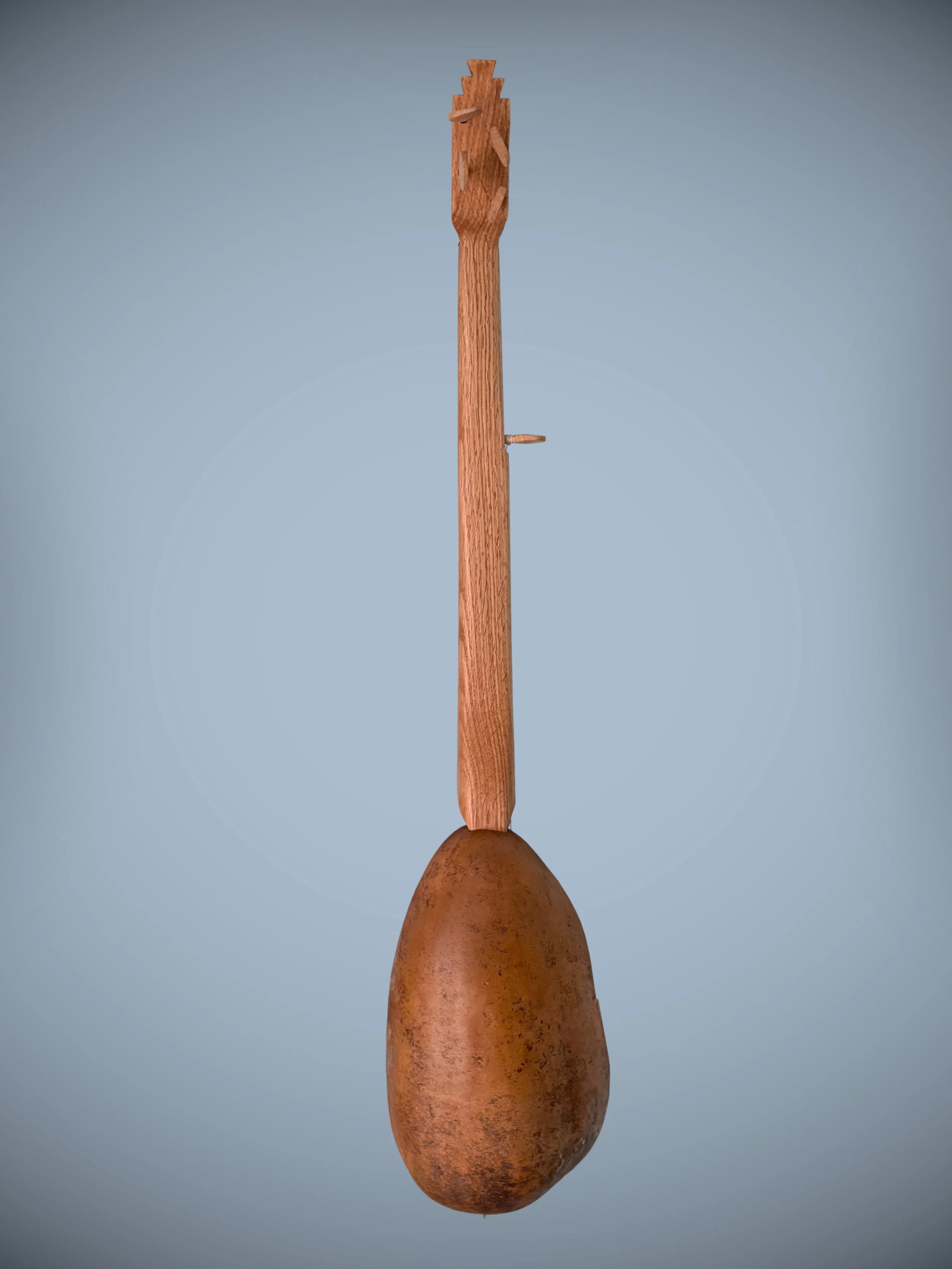 SloaneStyleGourdBanjo_02.jpg