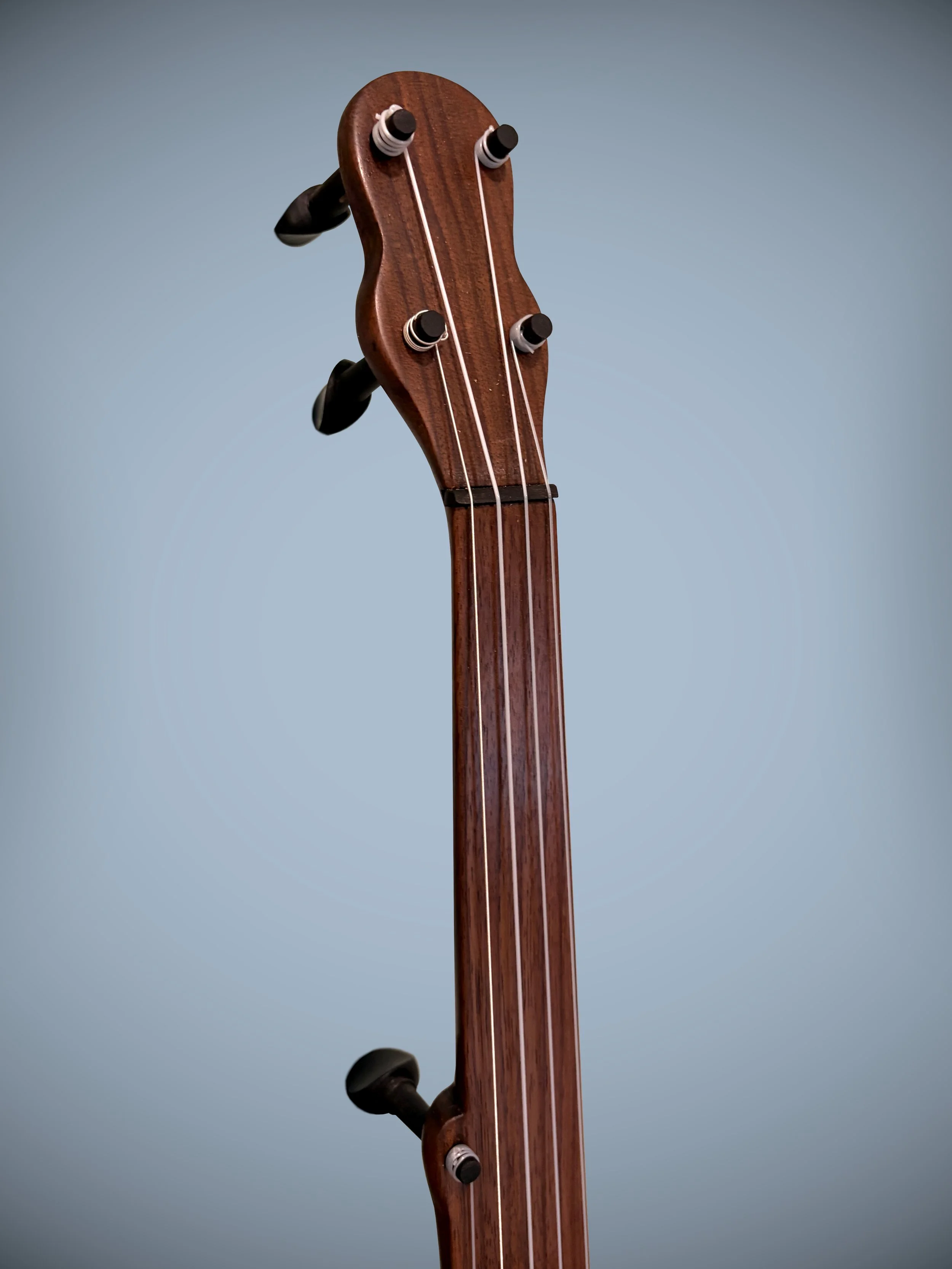 LonestarMinstrelBanjo_03.jpg