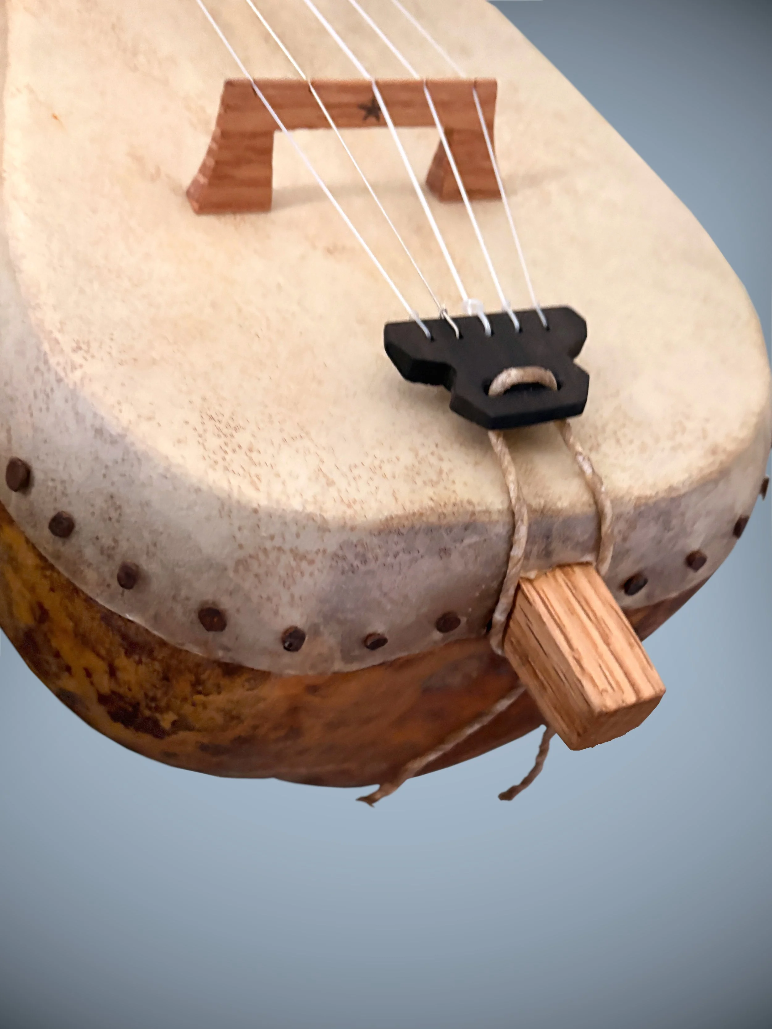 SloaneStyleGourdBanjo_06.jpg