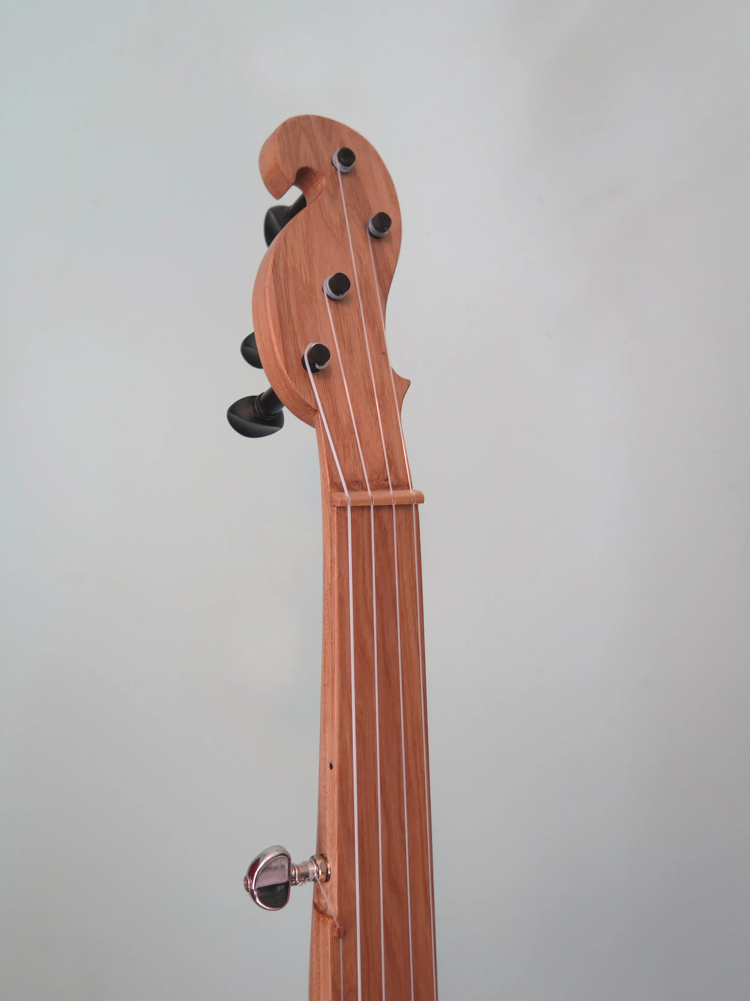 HickoryMountainBanjo03.JPG