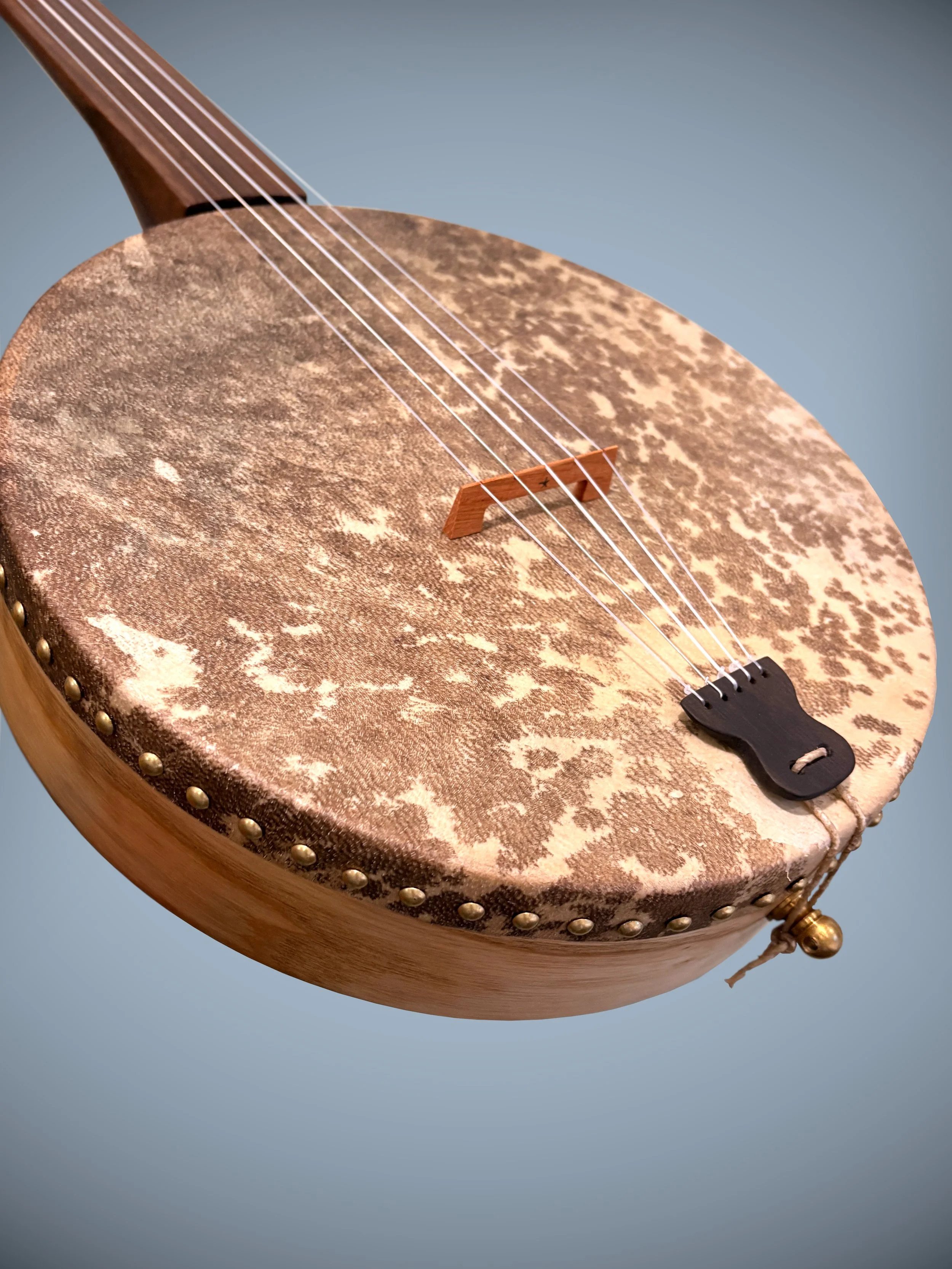 LonestarMinstrelBanjo_06.jpg