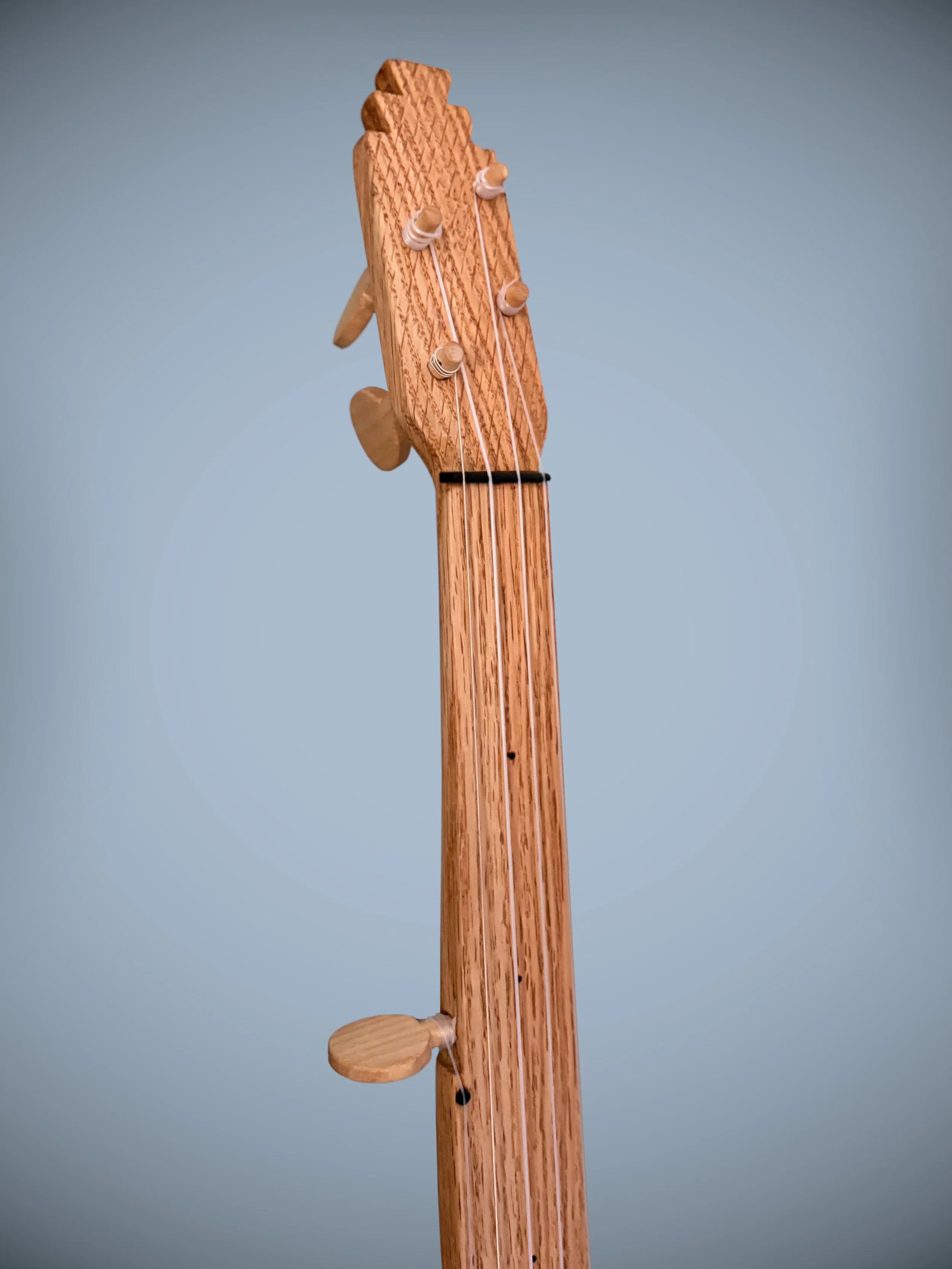 SloaneStyleGourdBanjo_03.jpg