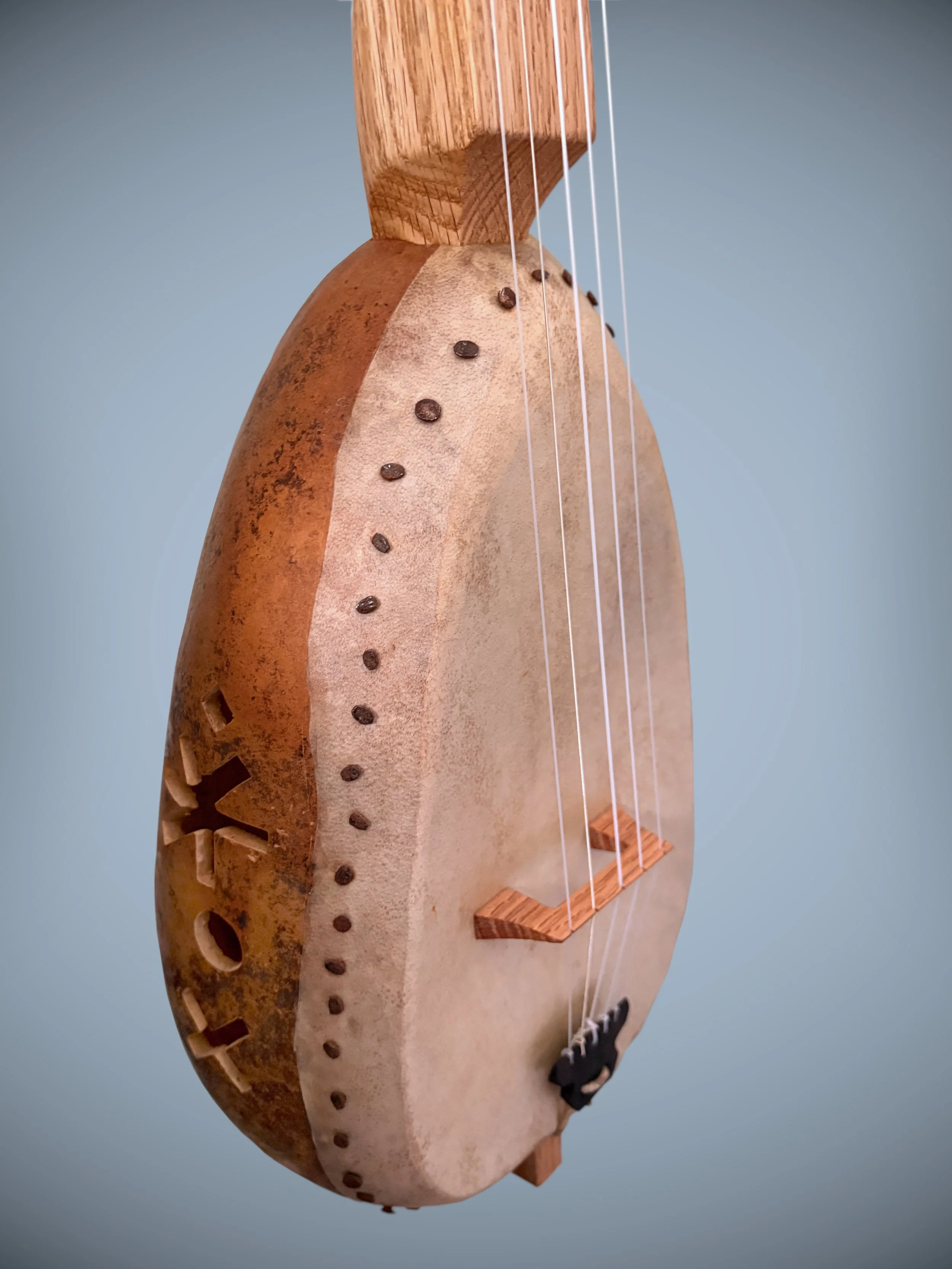 SloaneStyleGourdBanjo_05.jpg