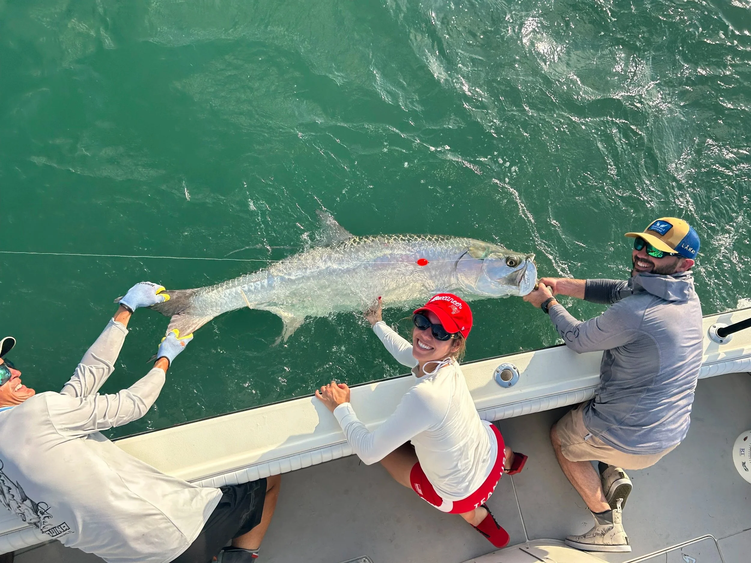 tampa tarpon fishing