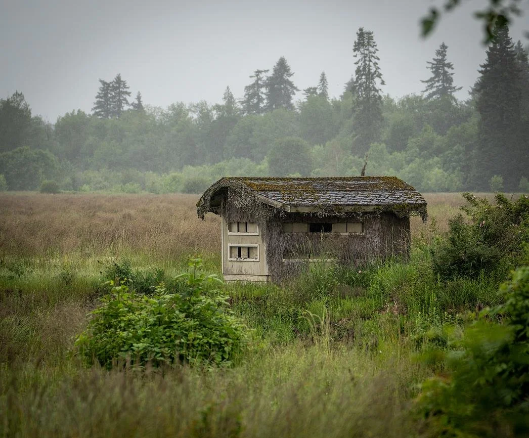 Unveiling the Unforgettable: Discover Unique Accommodations with Unique Northwest Vacation Rentals