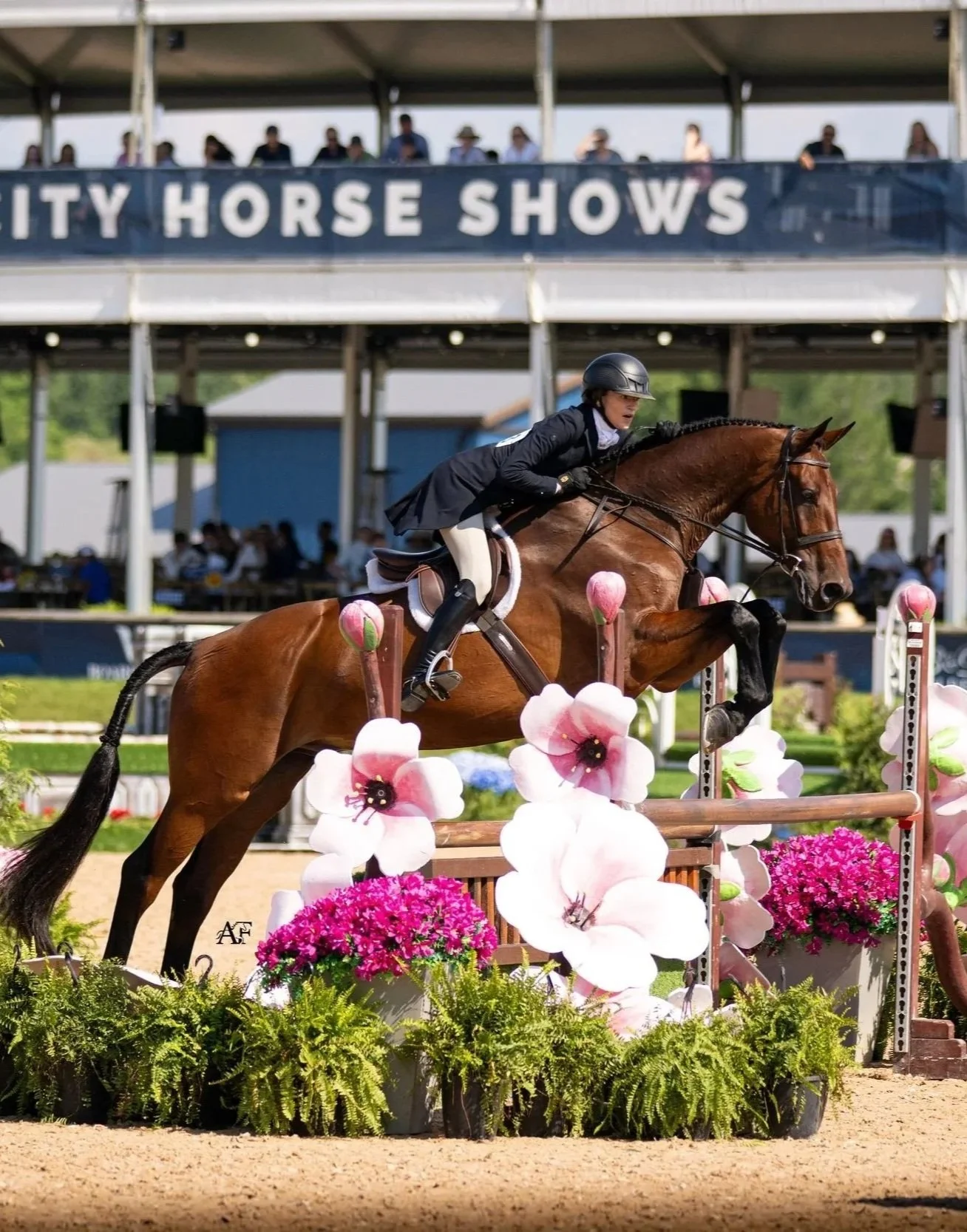 Cantunaro and Morgan Brawley in the 2026 $100,000 WCHR Hunter Spectacular in Traverse City, Michigan