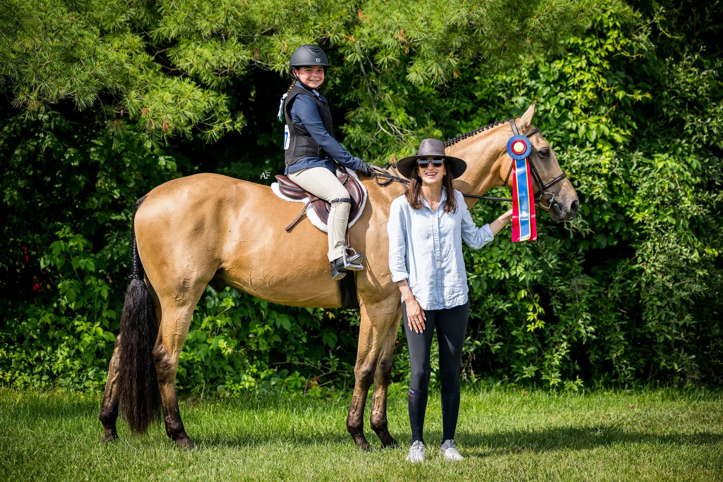 Short Stirrup Champion horse Straight Shooter