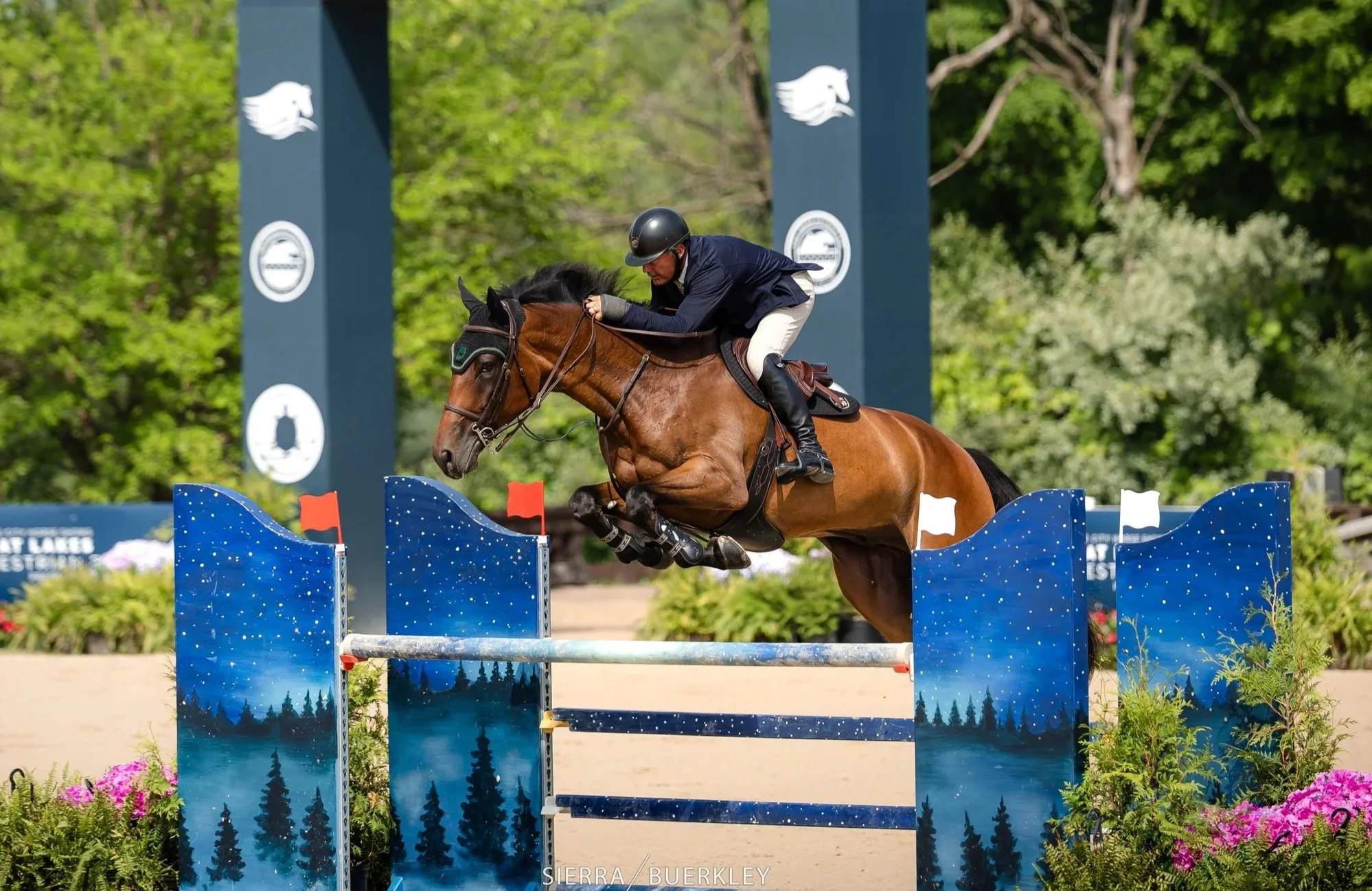 DDM Game Guru was developed from age 4 jumping the .85m up to age 8 jumping 1.40m