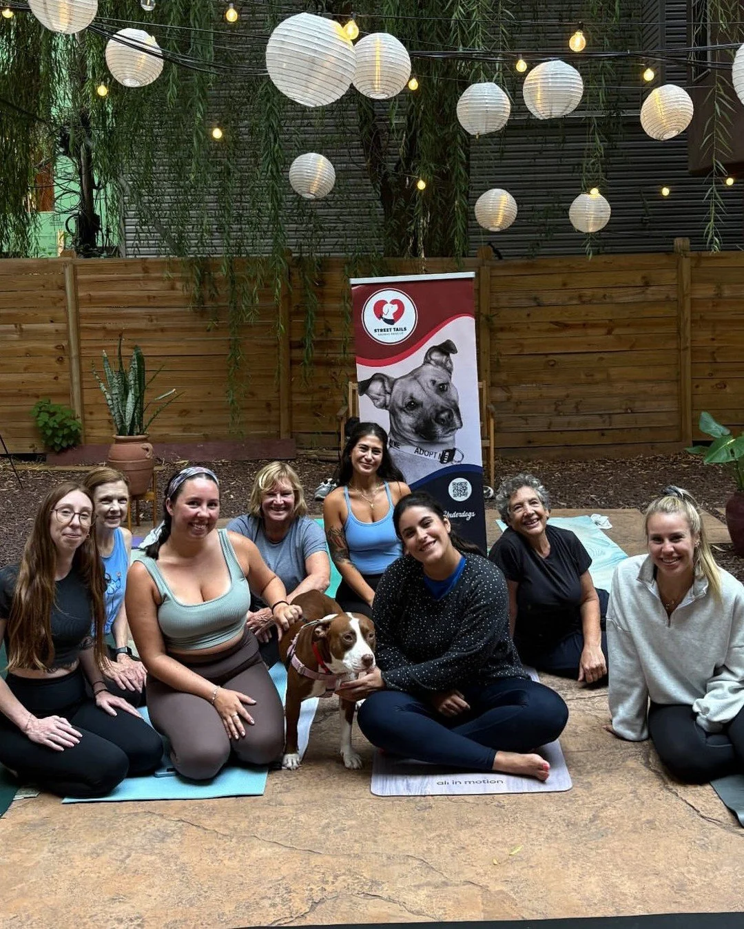 Thanks to everyone who came out to meet Cordelia this week from @streettails!🐾✨️
⁠
Just one more chance to join us for #DownwardDogsforStreetTails⁠ on September 18 (Rain date: September 25)⁠
⁠
🎟️ $20&ndash;$25 donation to Street Tails to reserve yo