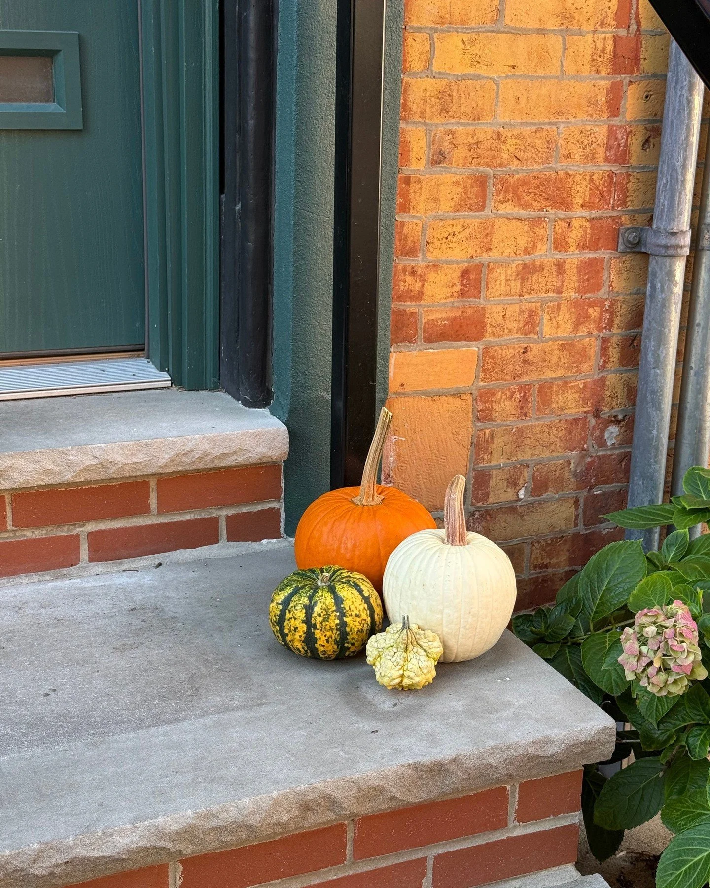 Happy National Pumpkin Day! We&rsquo;re obsessed with all the cute stoops around Fairmount right now 🍂🧡

#nationalpumpkinday