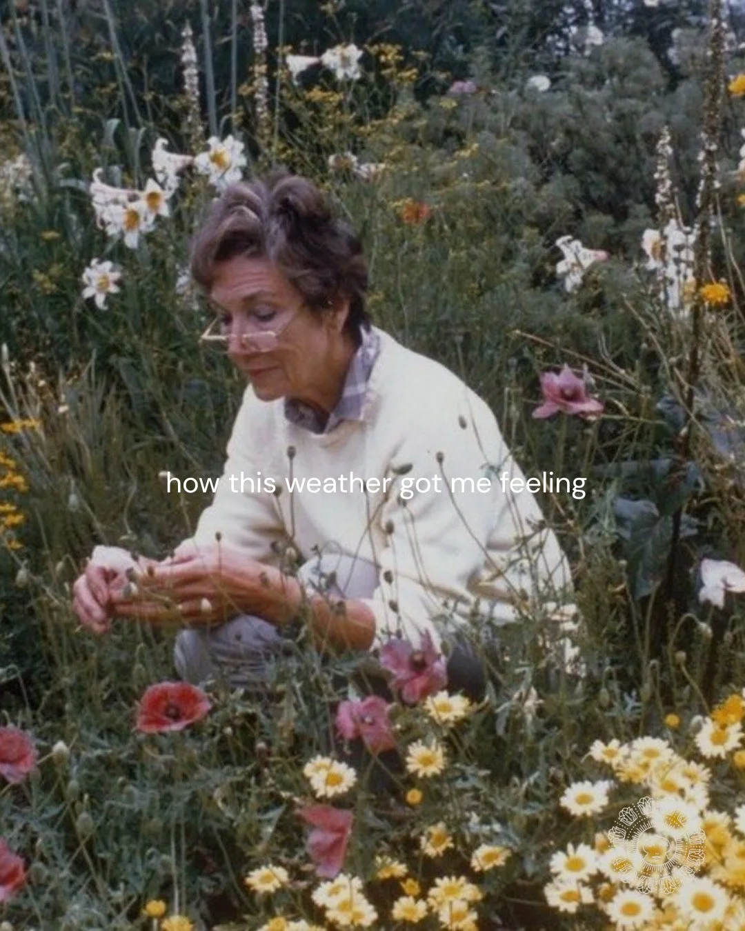 WE FEEL ALIVE ⛅️🫧🌸🧺

🎞️: sourced from pinterest