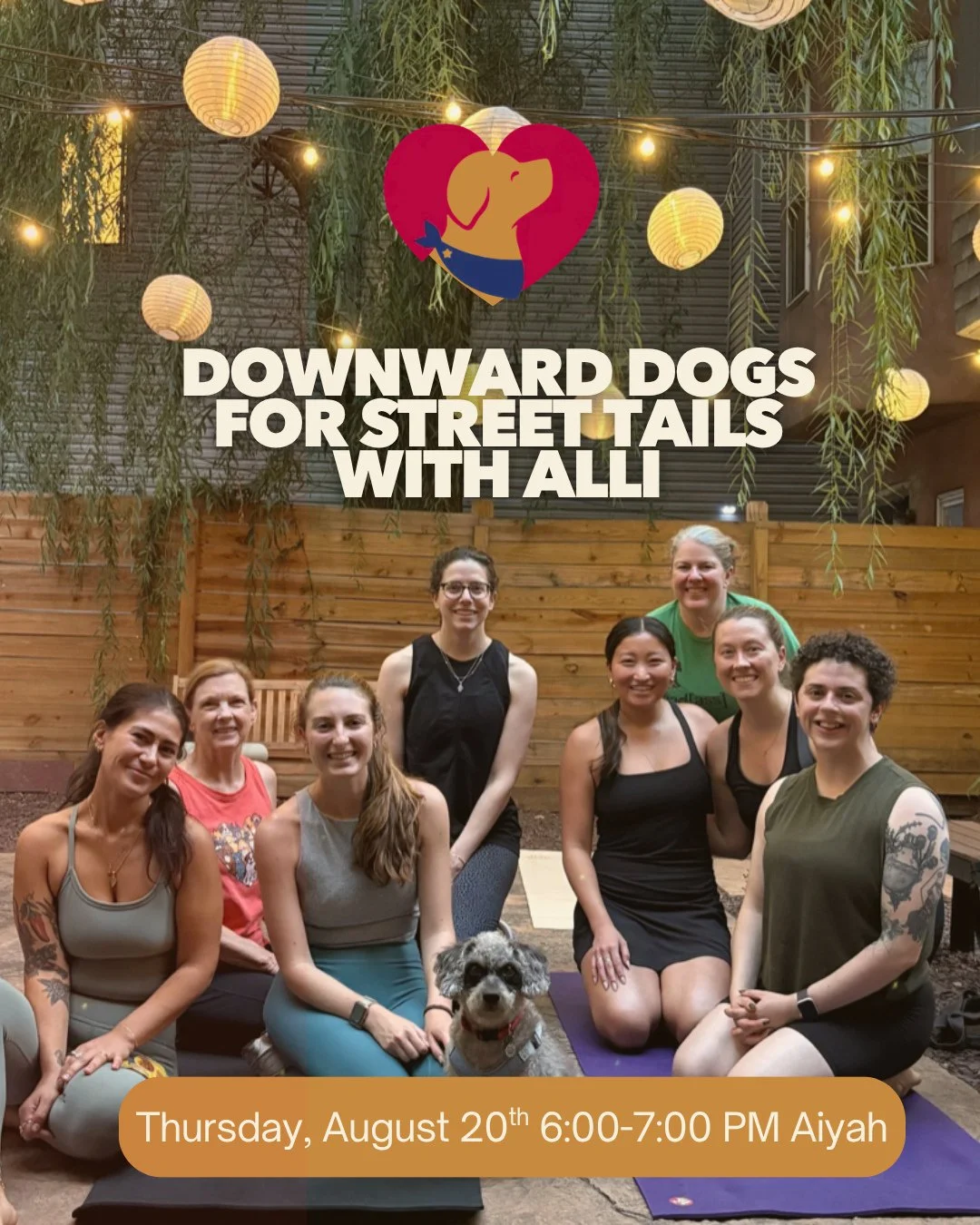 We are back again for our August Downward Dogs @shopaiyah and @streettails! 🐶🐾⁠
⁠
Join Alli @allisbriningwine at @shopaiyah Thursday, August 20th 6:00-7:00 PM!⁠
⁠
Doggies that are available for adoption through Street Tails Animal Rescue will join 