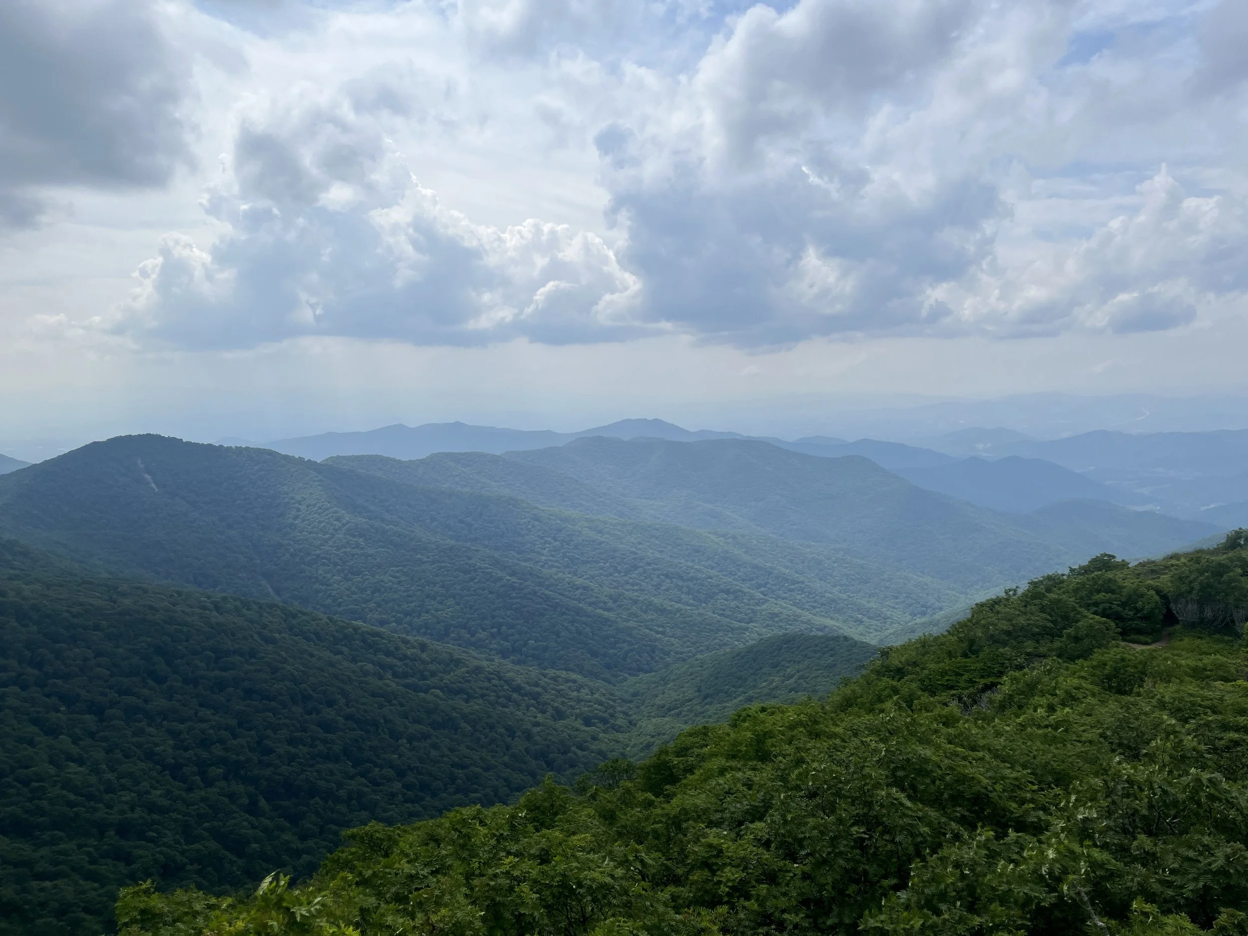 IMG_7812.JPG