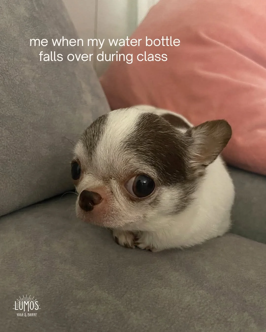 We all know the feeling 🙈