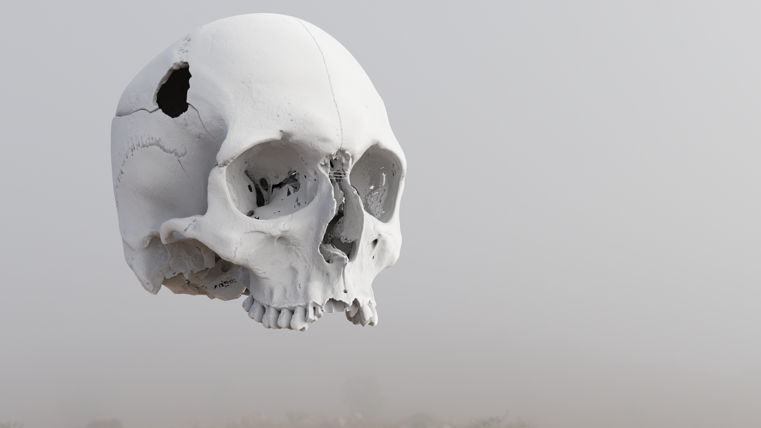 Skull.png