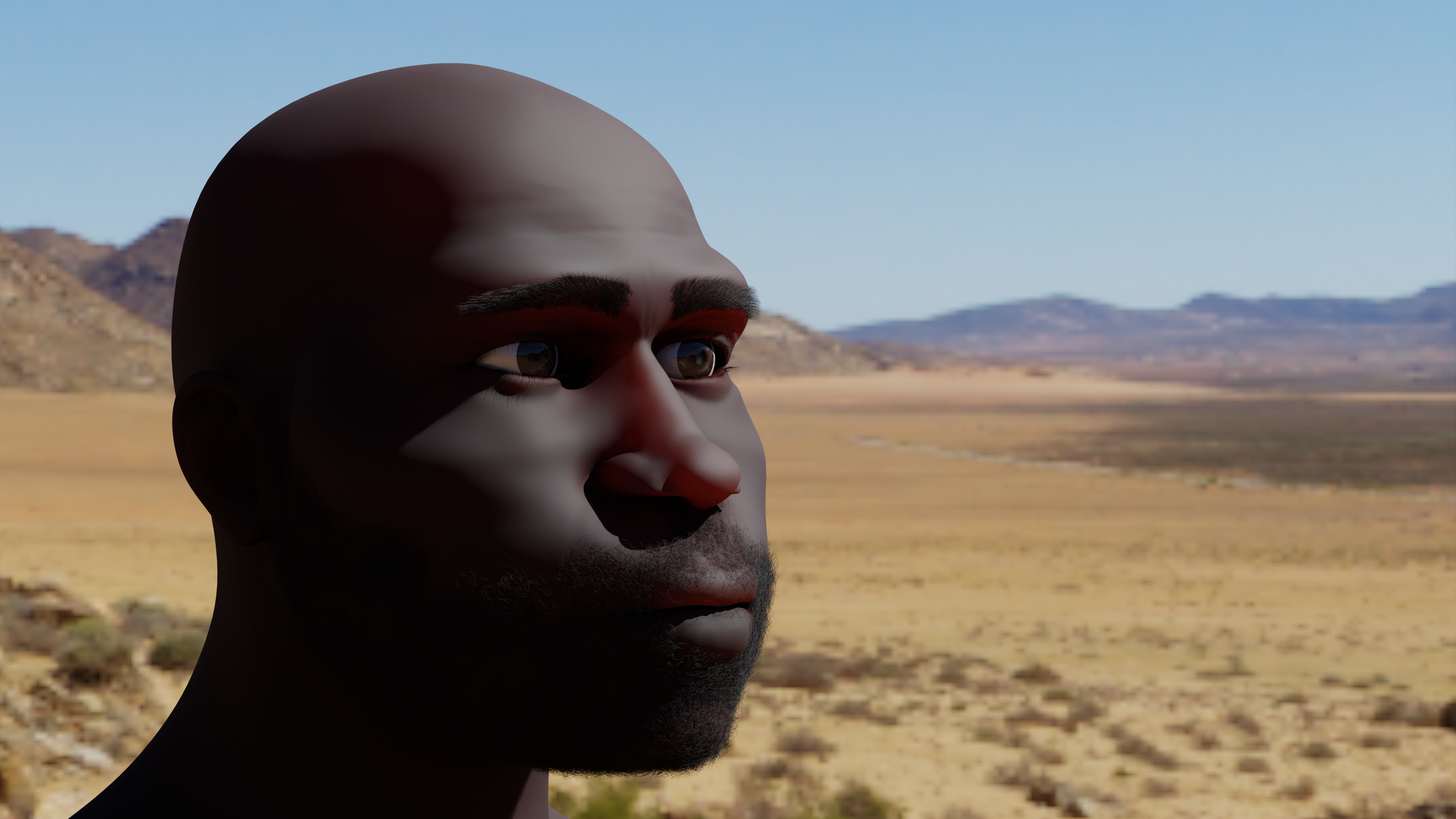 InShadow_Bald.png
