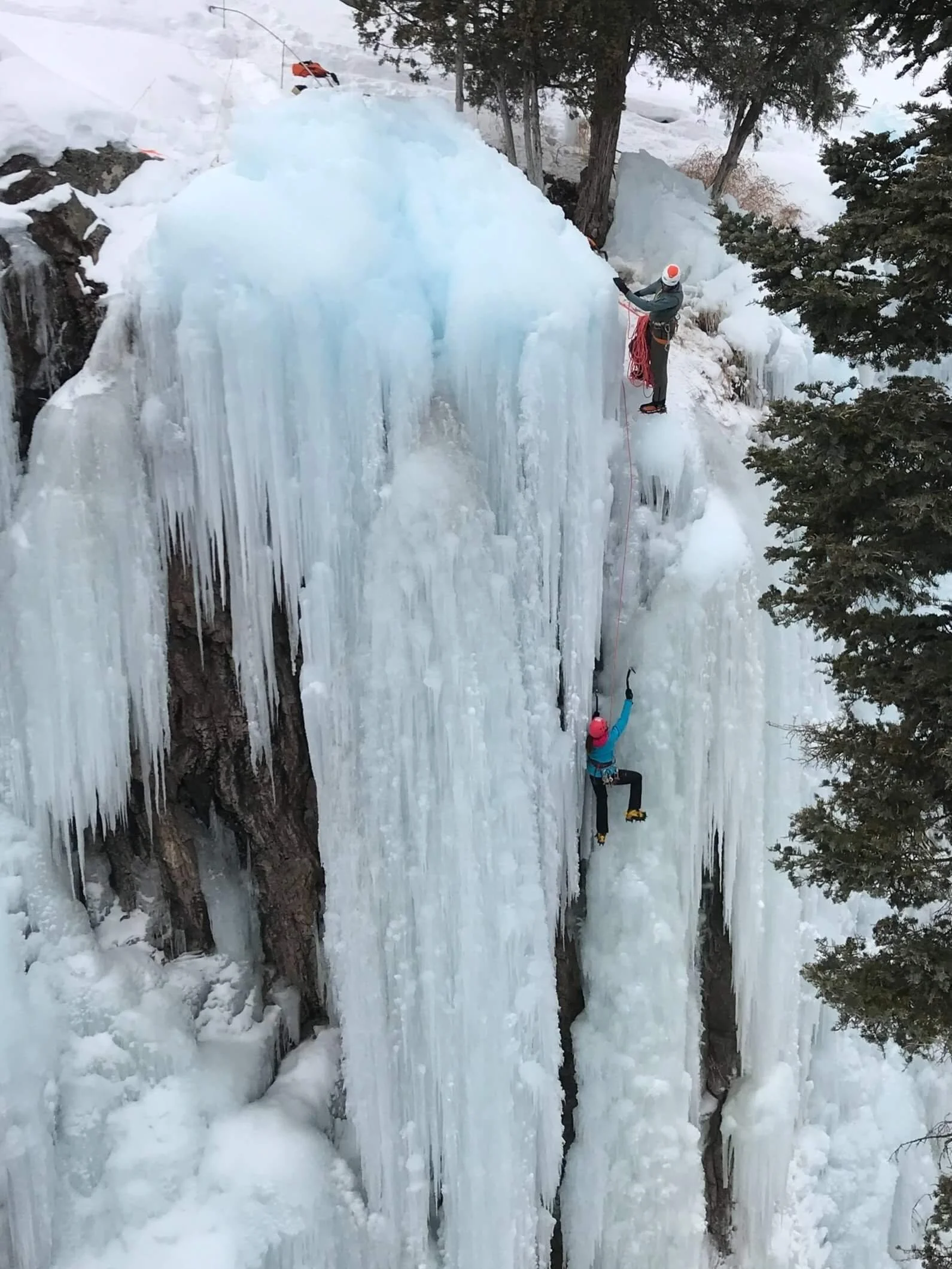 A climber is being belayed from above while they ice climb a steep pillar of blue ice in the Ouray Ice Park.