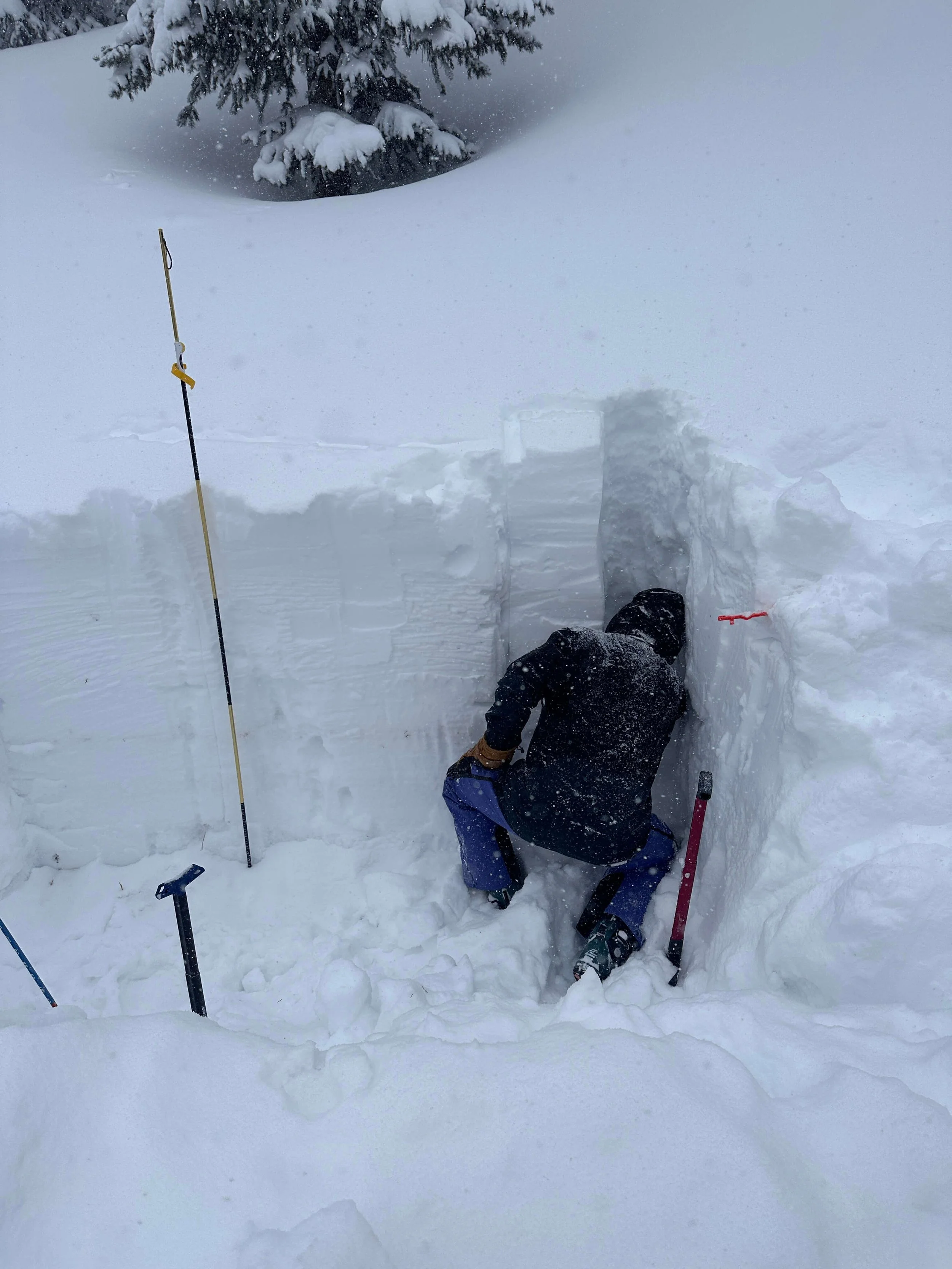 An avalanche course student is isolating a column in a snow pit to conduct a stability test.
