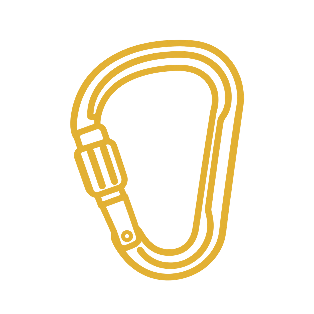 A carabiner icon depicting the type of guided rock climbing trip.