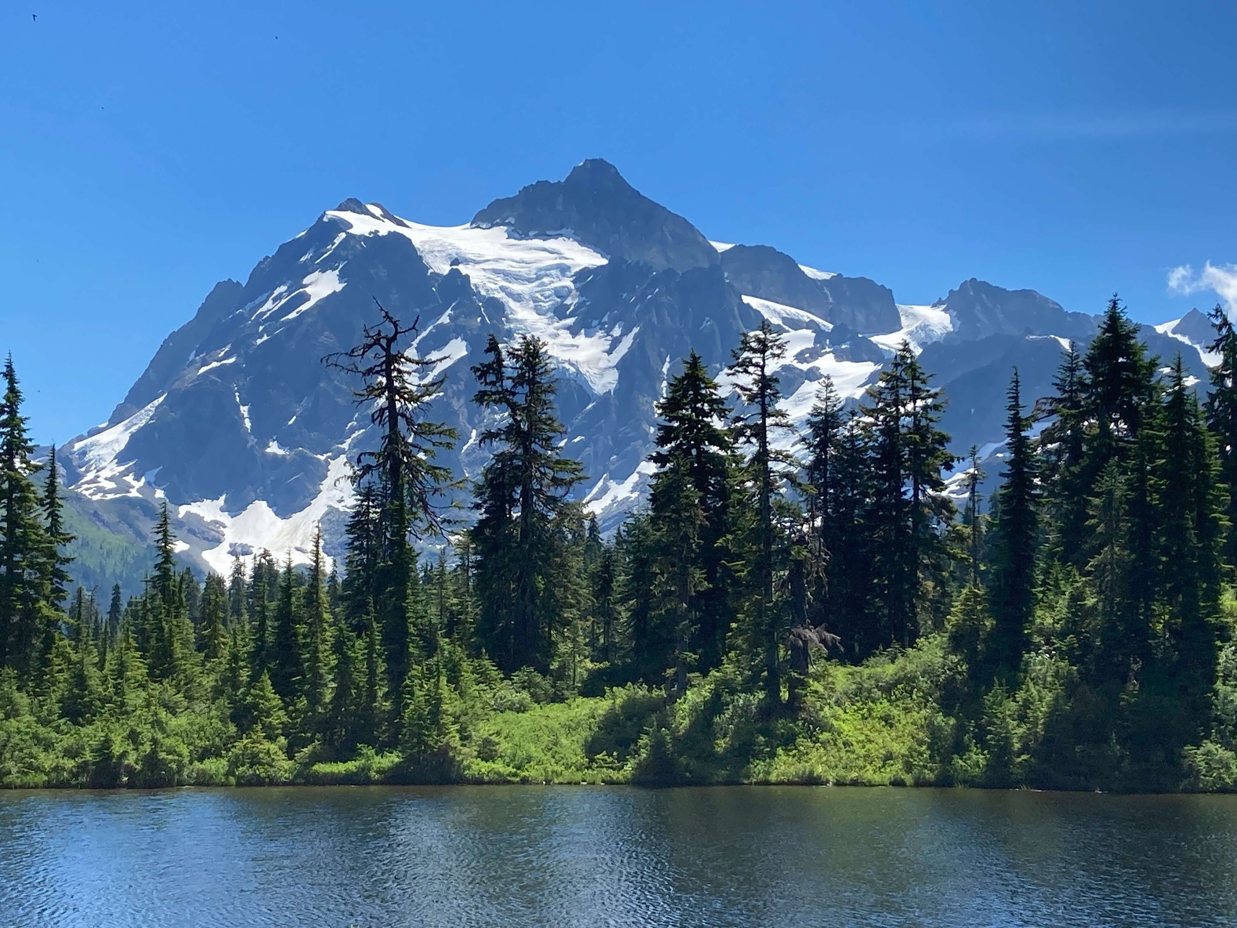 Mt. Shuksan as viewed from the Mt. Baker Ski Area.