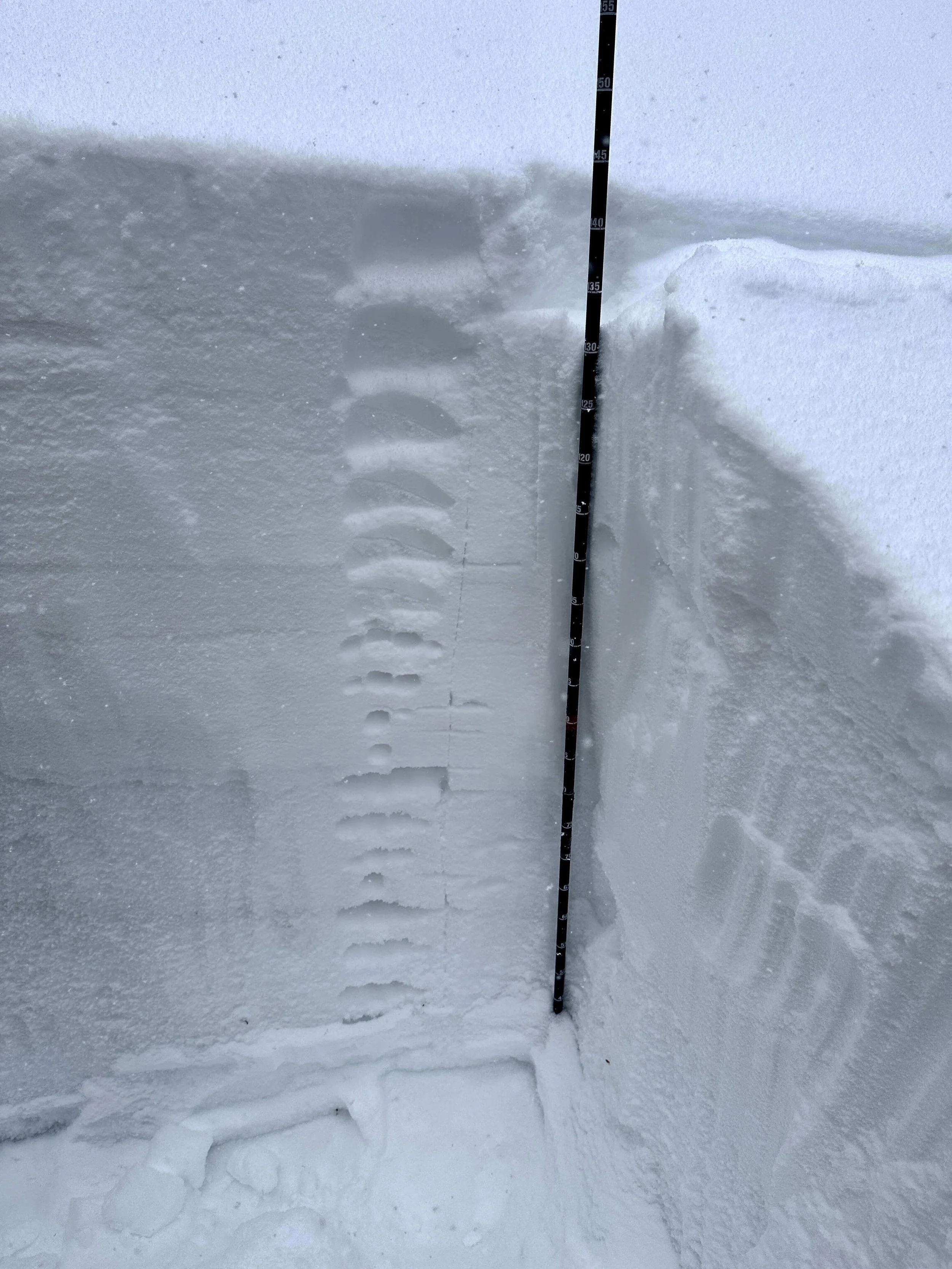 A snow pit with a hand hardness test during an AIARE 1 course in Silverton, Colorado.