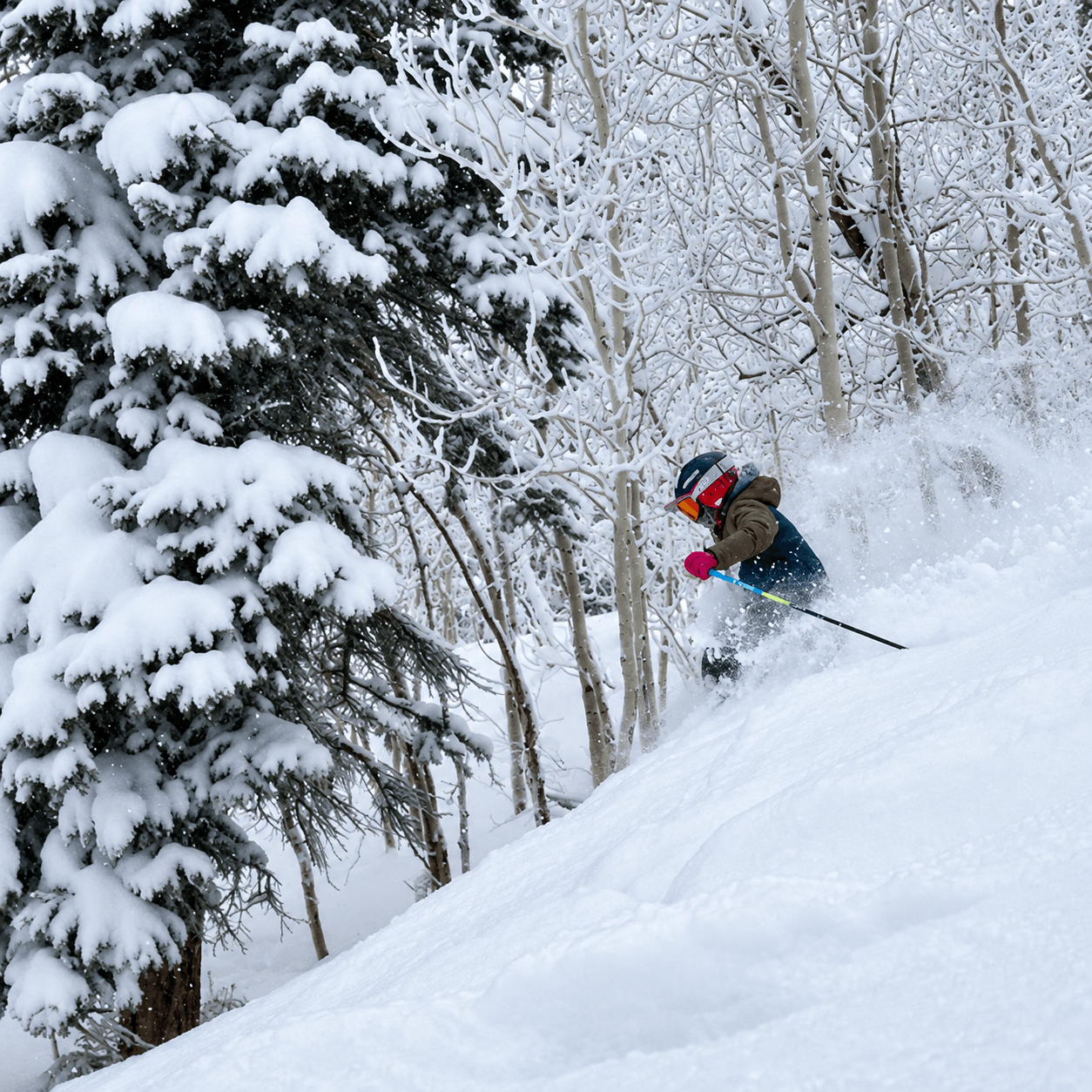 A child skis deep powder in steep trees above Ouray, Colorado.