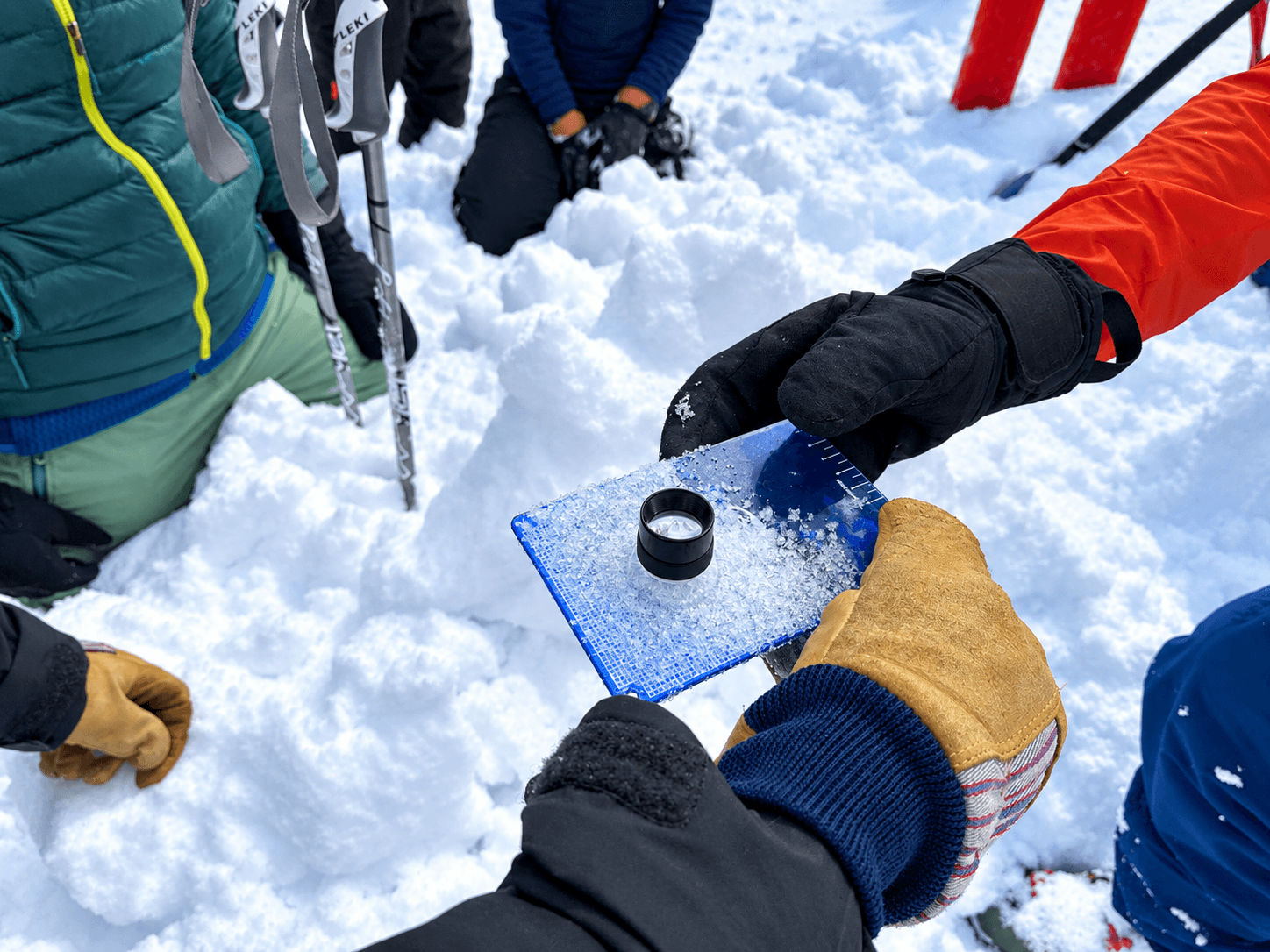 A group of students look at snow crystals during an avalanche course.