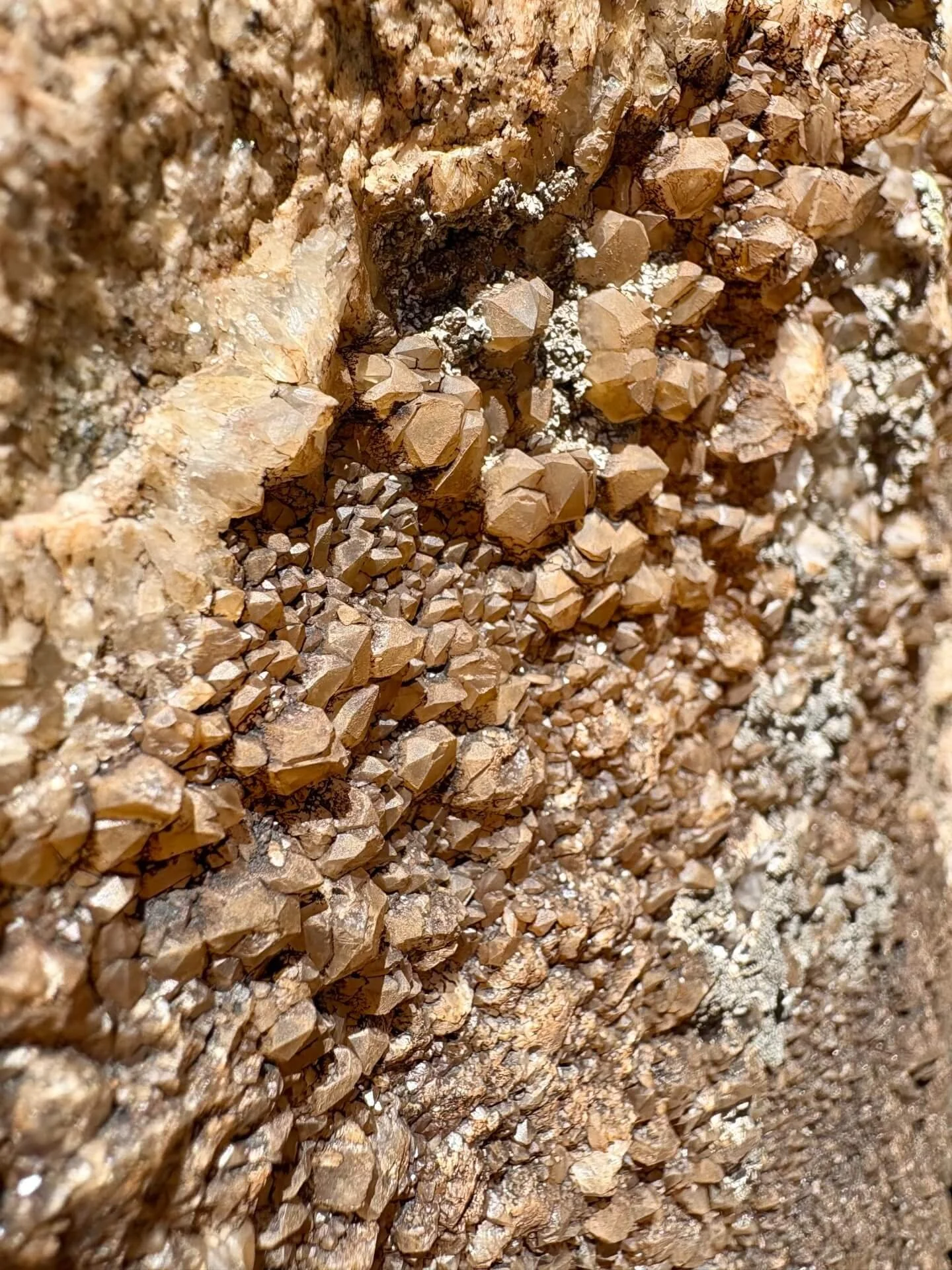 Unique quartz crystal intrusions on Unaweep Canyon's granite.