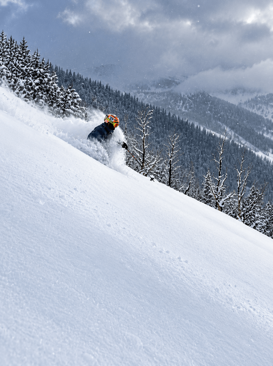 Skiing deep powder at tree line in an open glade in Silverton, Colorado.