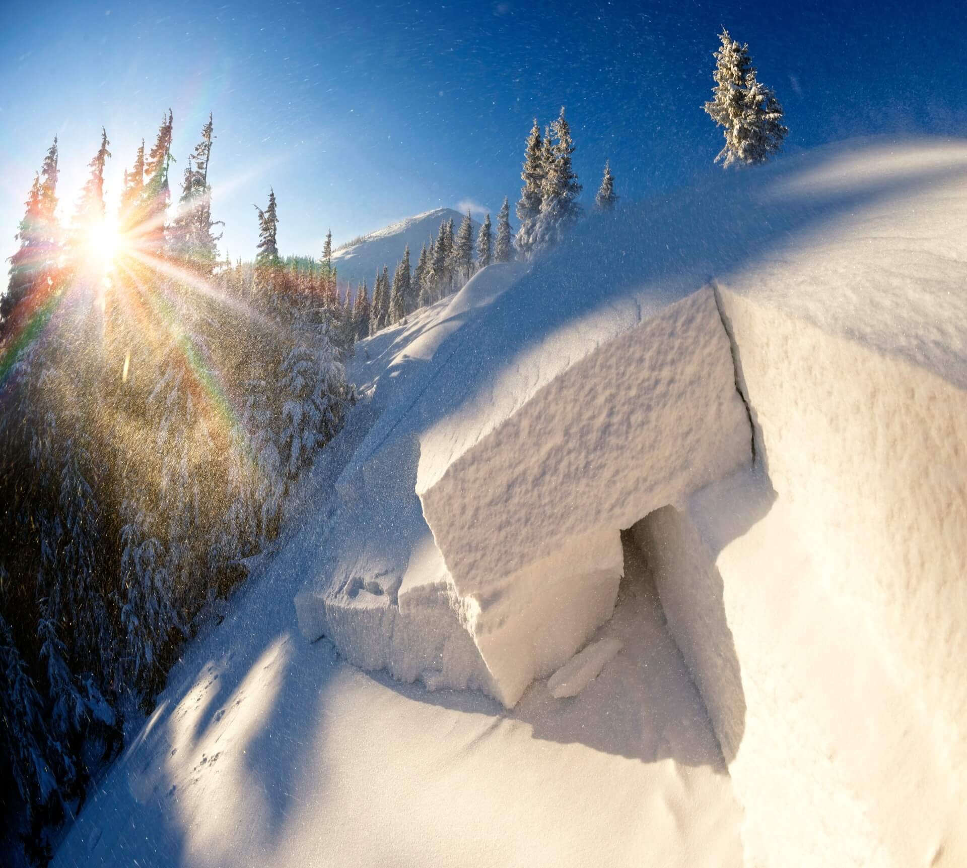 The crown of a hard slab avalanche is in the foreground with sun shining through evergreen trees and snowy mountains in the background.