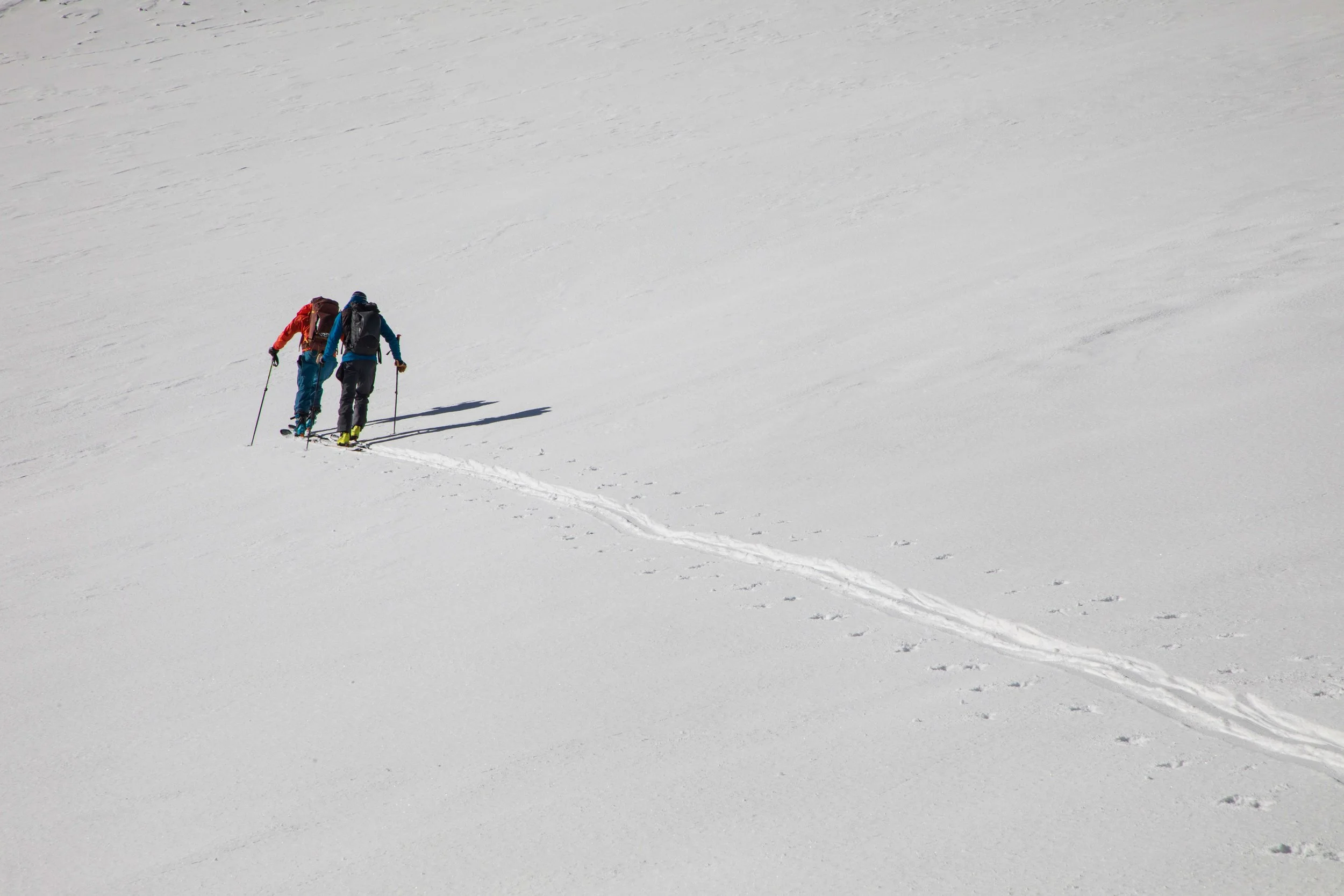 Two skiers traverse a slope with no tracks.