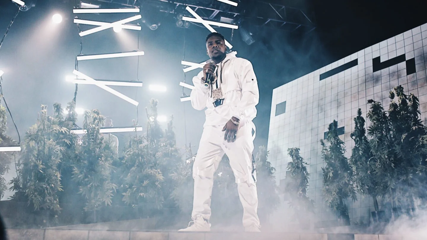 MIST DISPLAYS A VIGOROUSLY LIVE PRESENCE