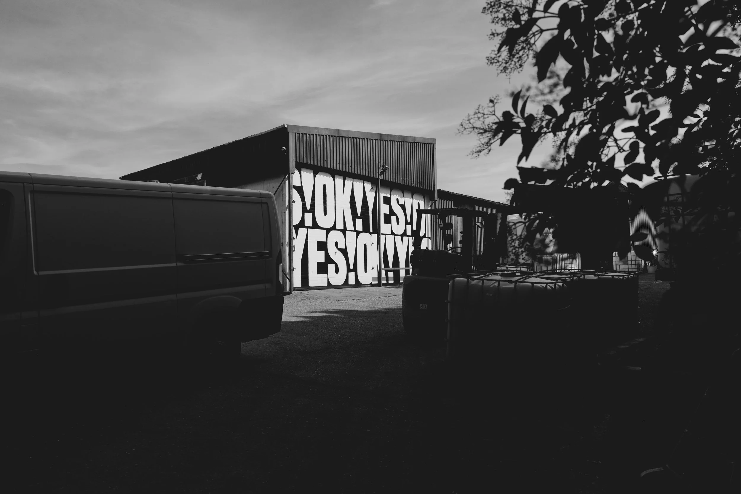 Murals, installations & signwriting. 