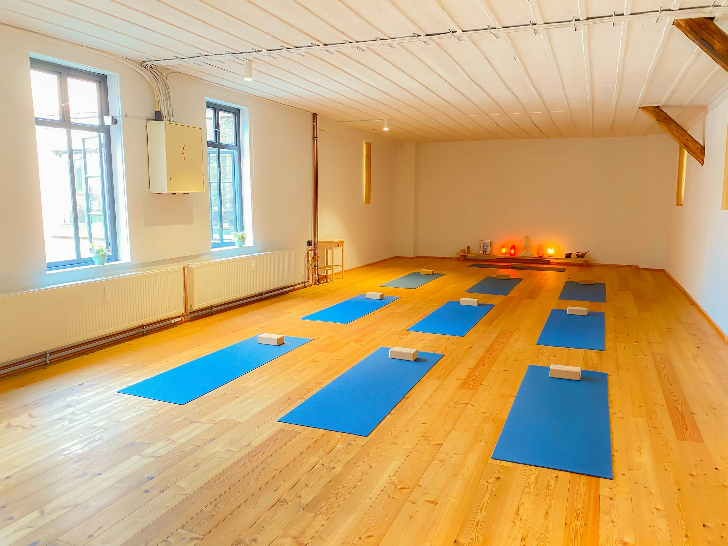 MAYA Yoga Shooting 5_8_22_bearb-2.jpg