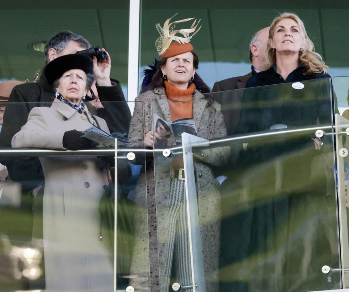 tigger cheltenham royal box.png