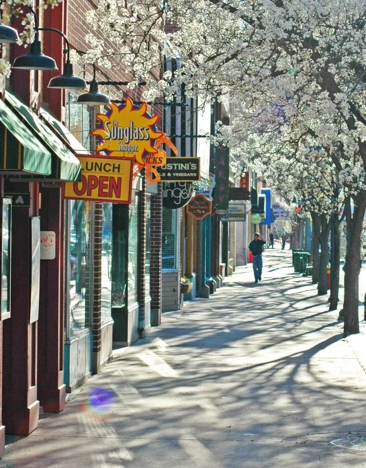 downtown traverse city