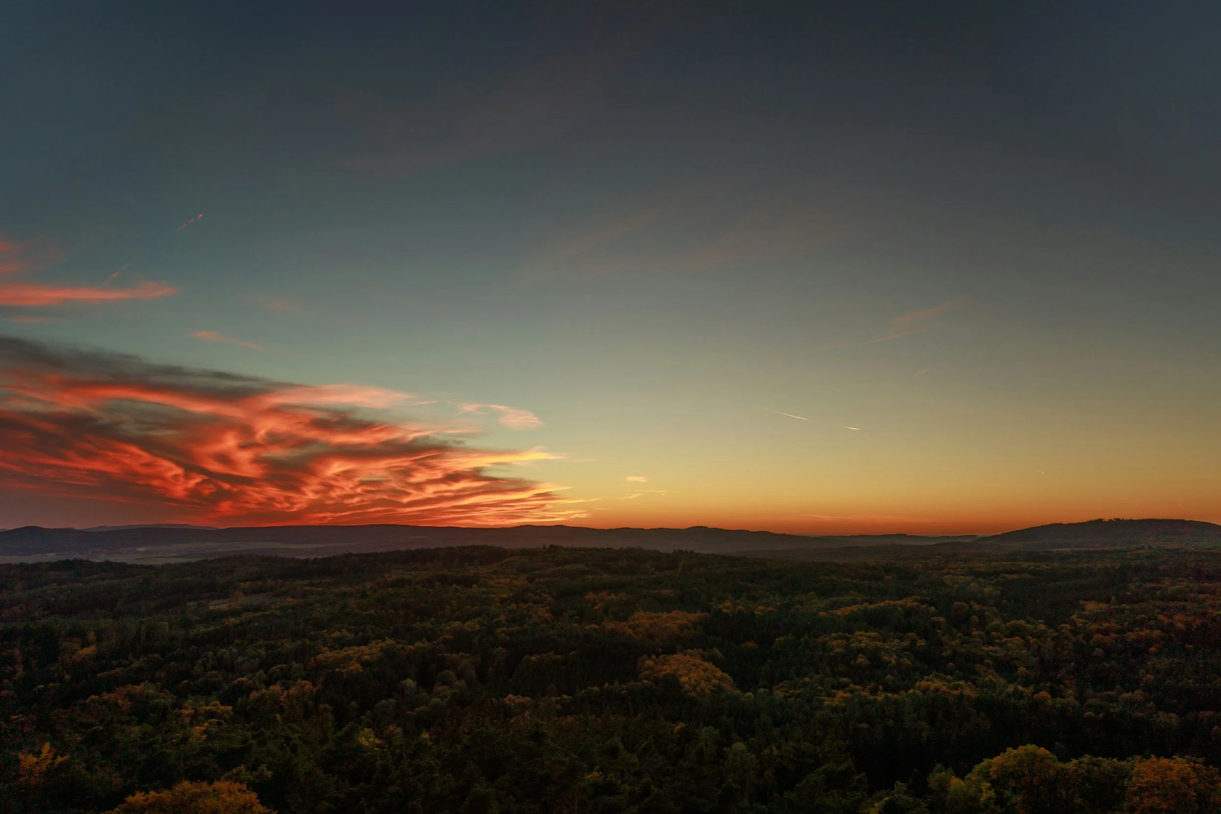 sunset over trees