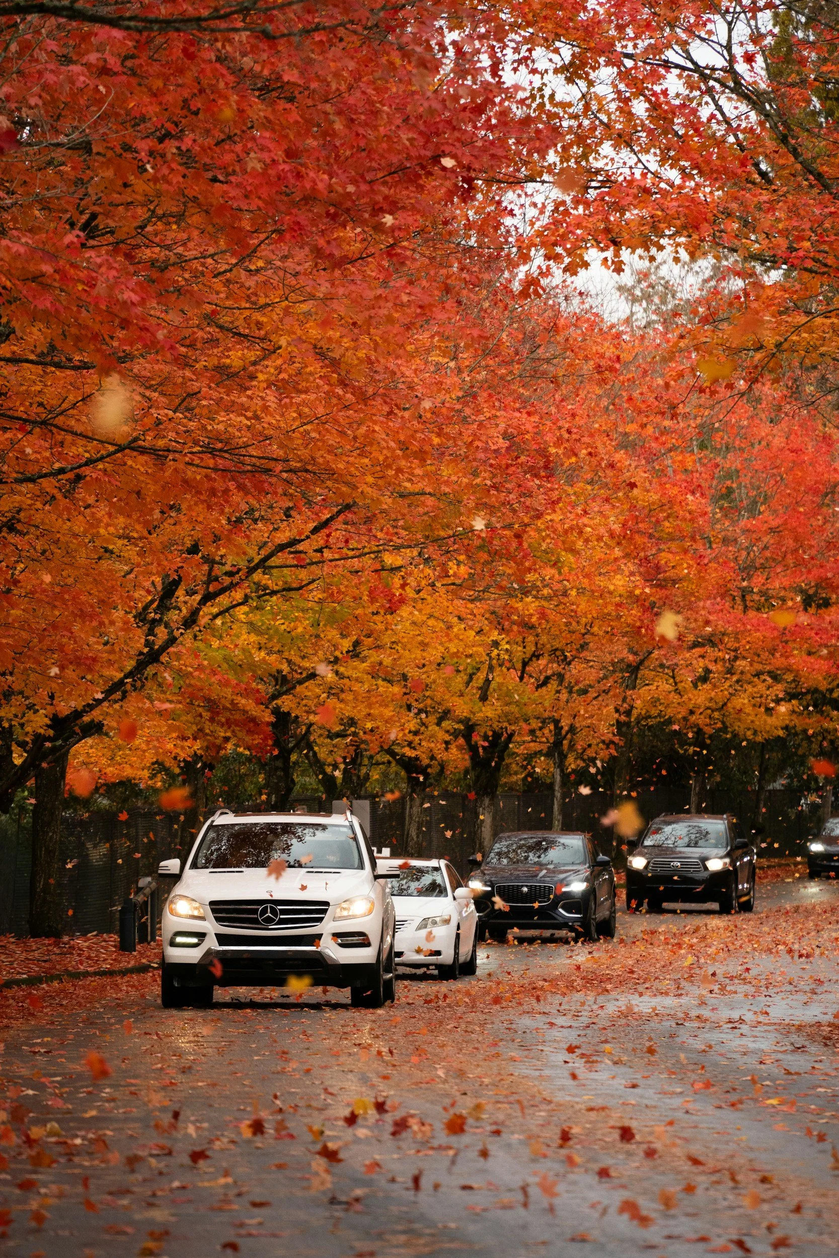 fall drives in Northern Michigan