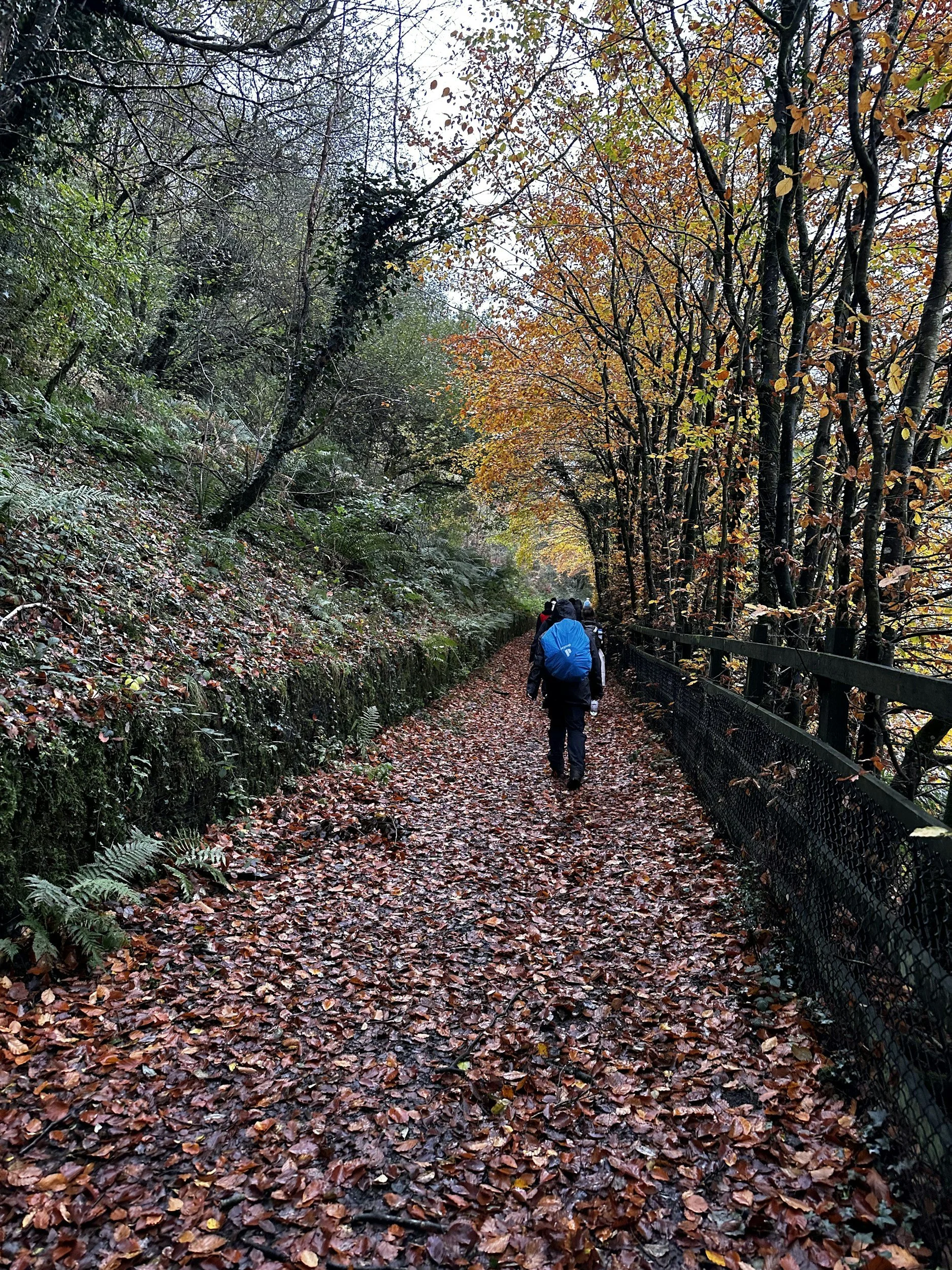 fall hikes in Northern Michigan