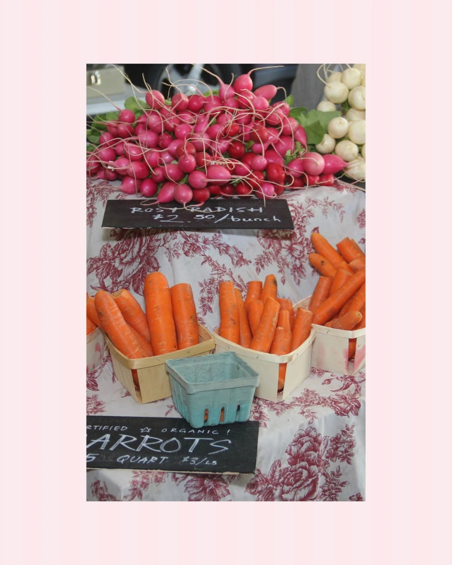 Let's talk farmers! We are just two weeks out from the return of the Sara Hardy Farmer's Market, and our region is home to many local, family-owned, and multi-generational farms. 

While you can't go wrong at any stand, below are some of our top favo