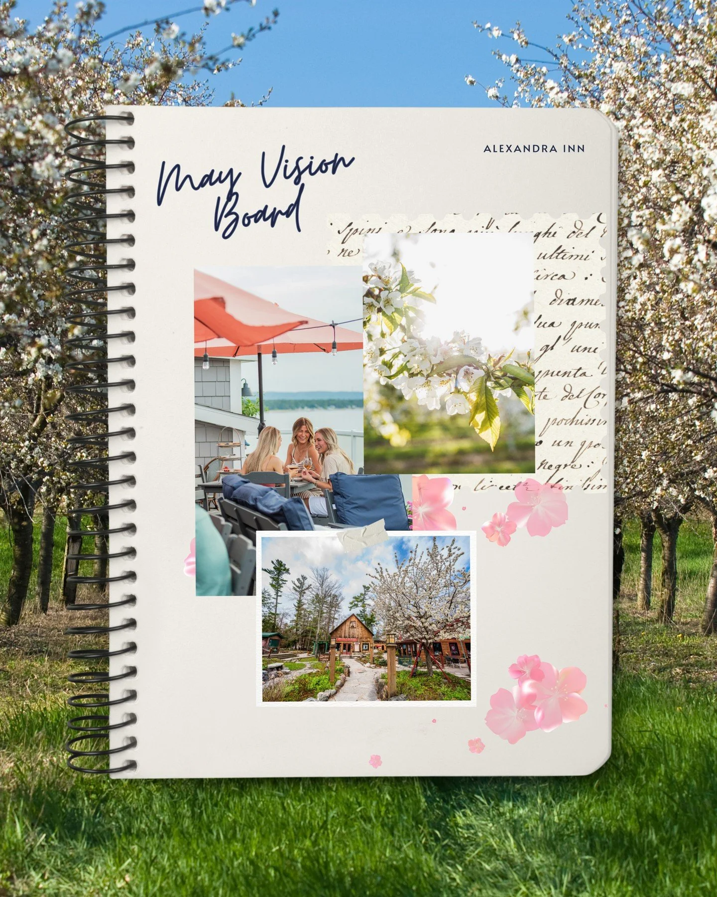 Spring has sprung in Traverse City! 🌸🌷

Our vision board this month includes all things outdoors. Think cherry blossom tours on Old Mission Peninsula, enjoying a local wine flight at Blush, a scenic drive on M22 to Glen Arbor, and bike rides on the