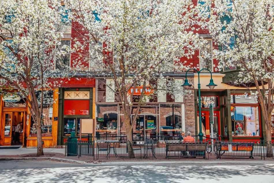 downtown traverse city in spring